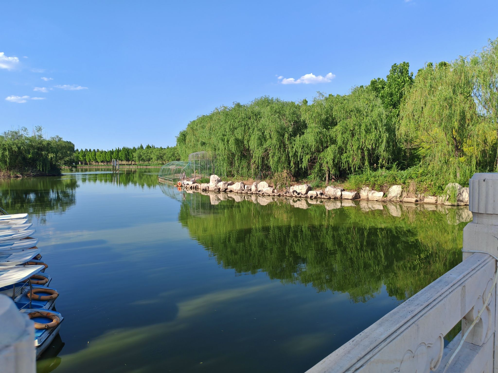 禾和湿地公园旅行图片 2