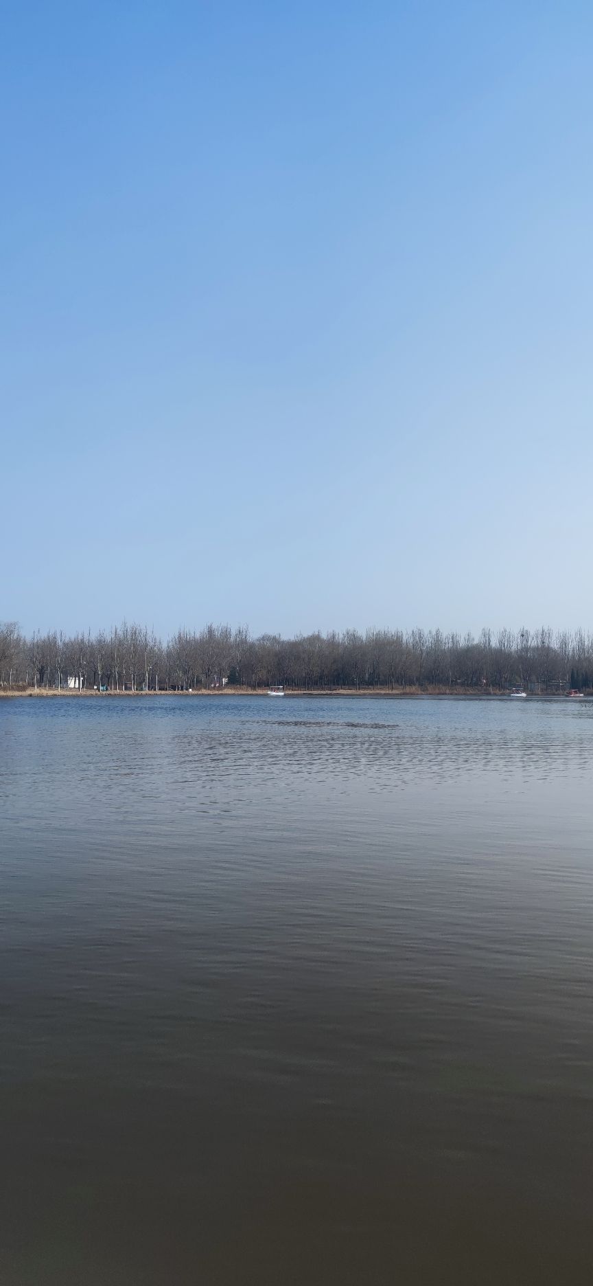 禾和湿地公园旅行图片 3