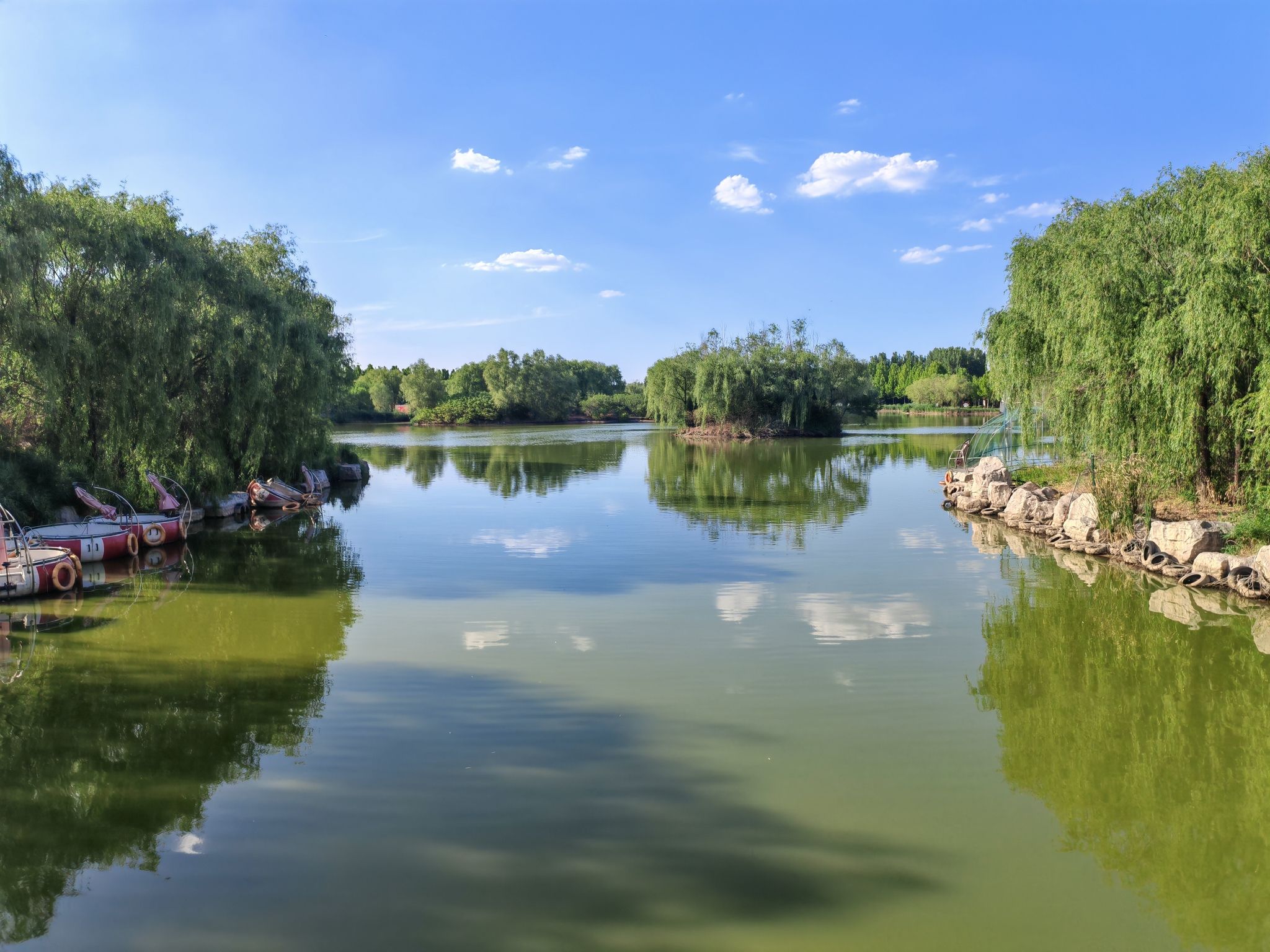 禾和湿地公园旅行图片 3
