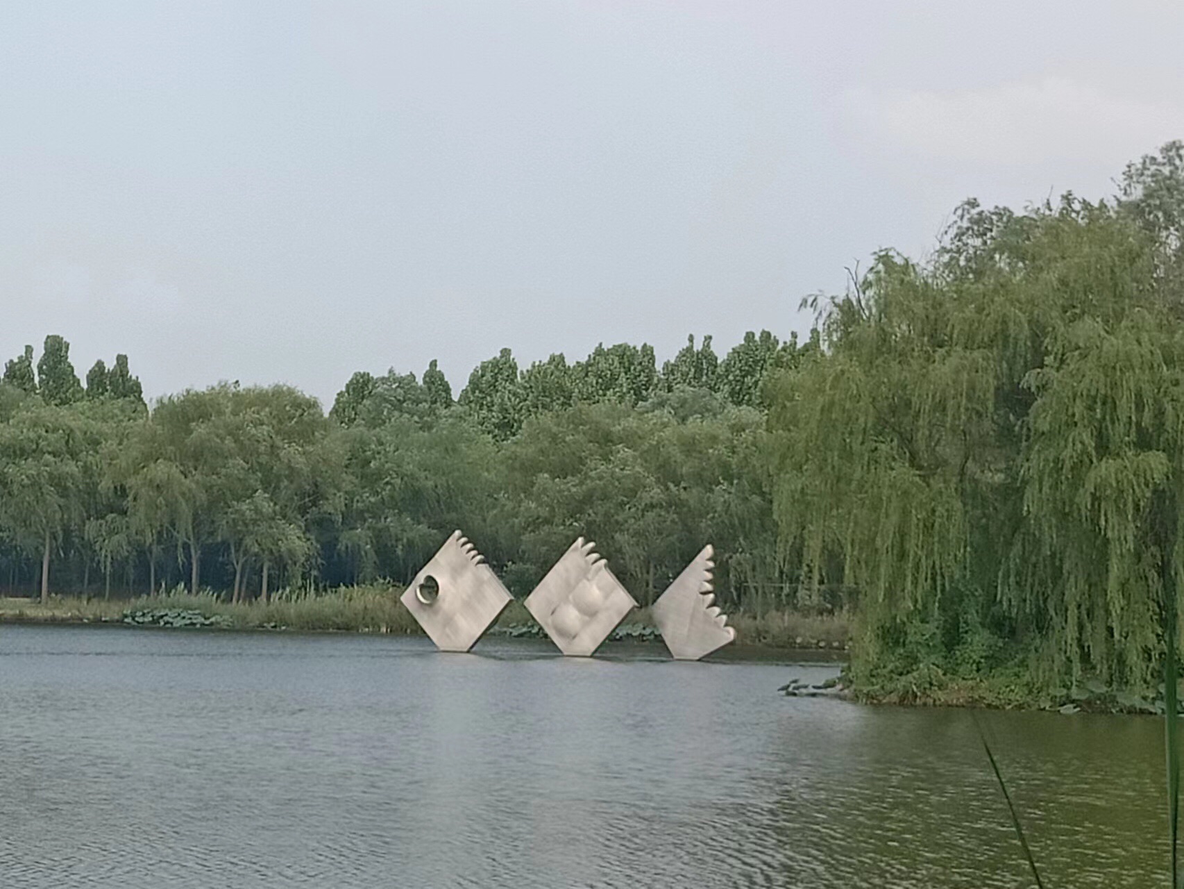 禾和湿地公园旅行图片 2