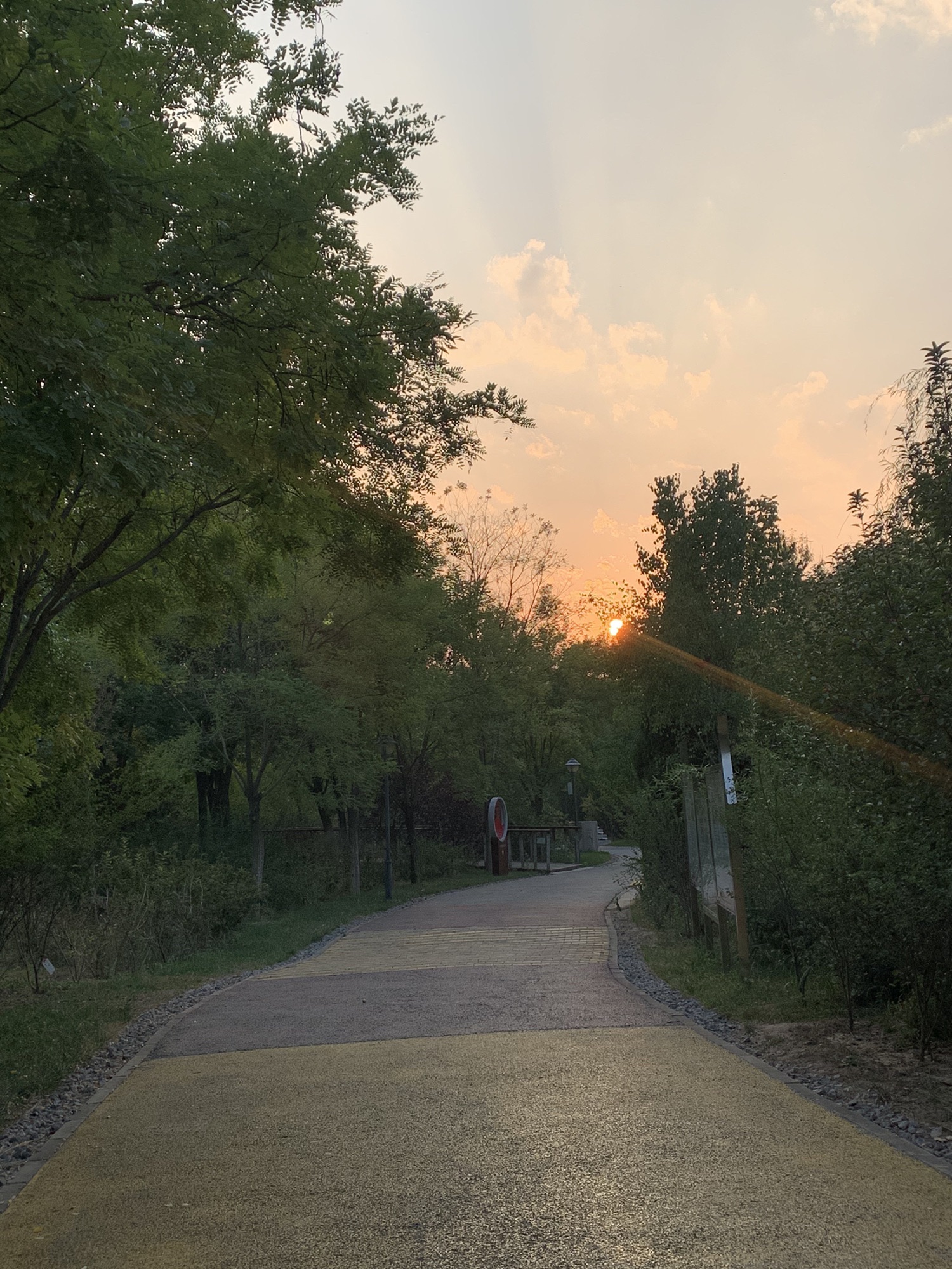 长芦公园旅行图片 2