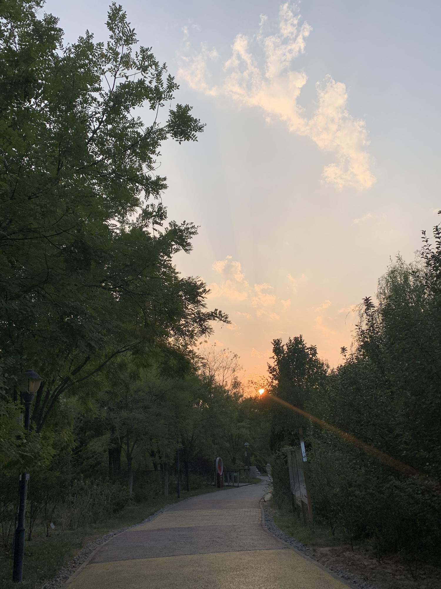 长芦公园旅行图片 1