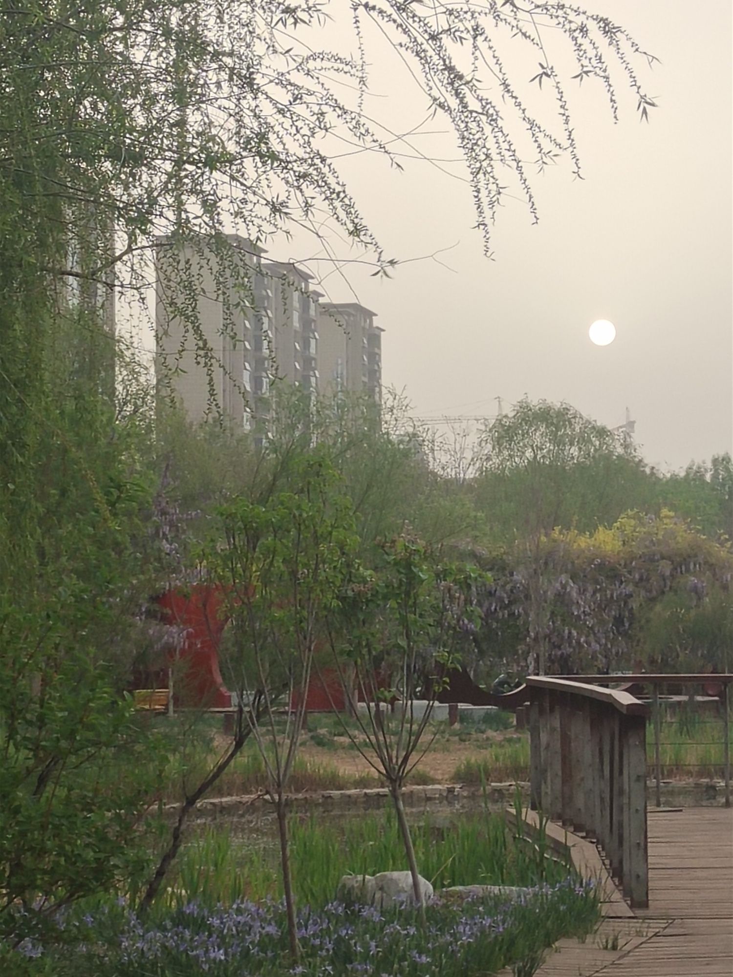 长芦公园旅行图片 2