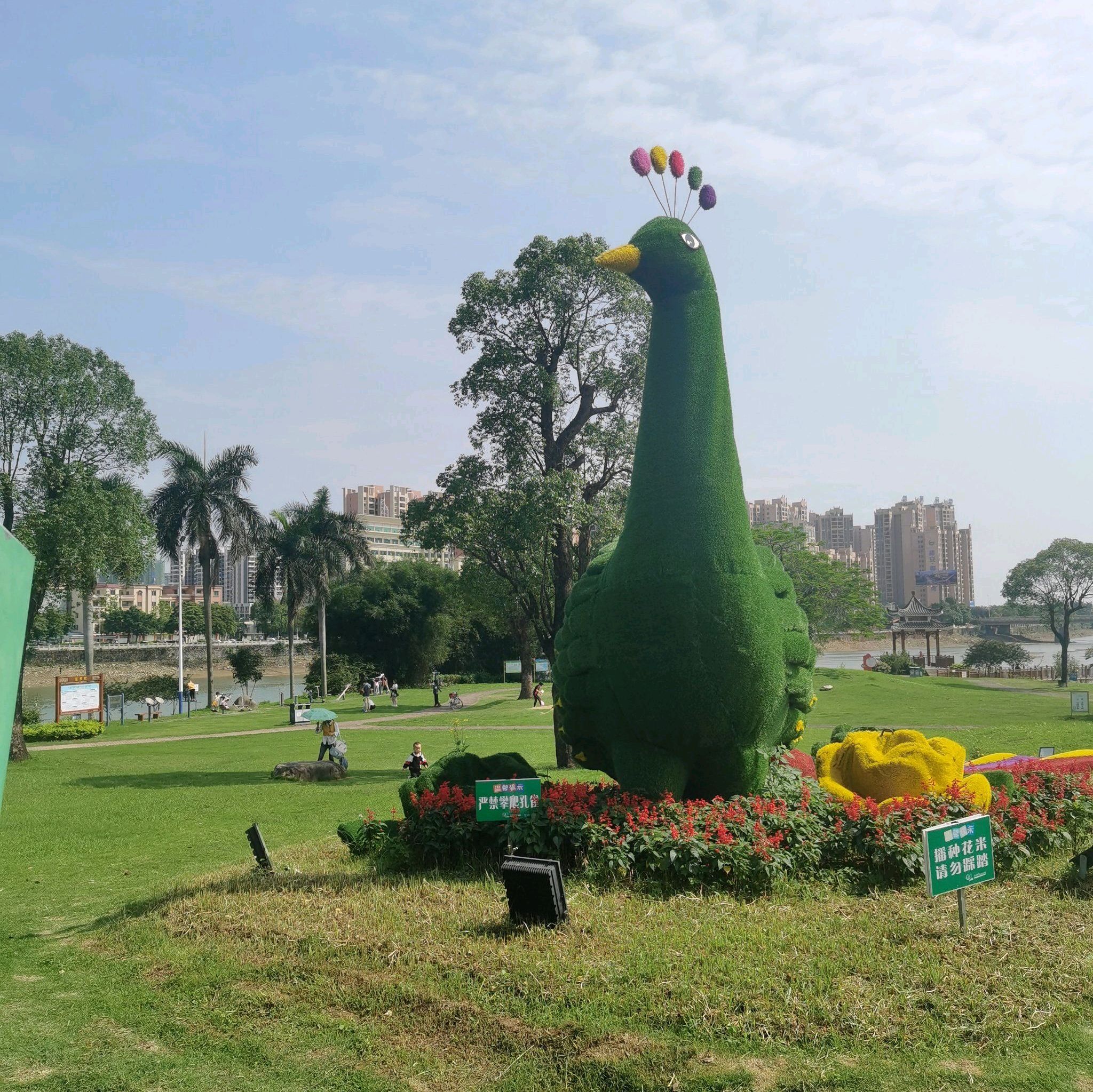 锦江公园旅行图片 3