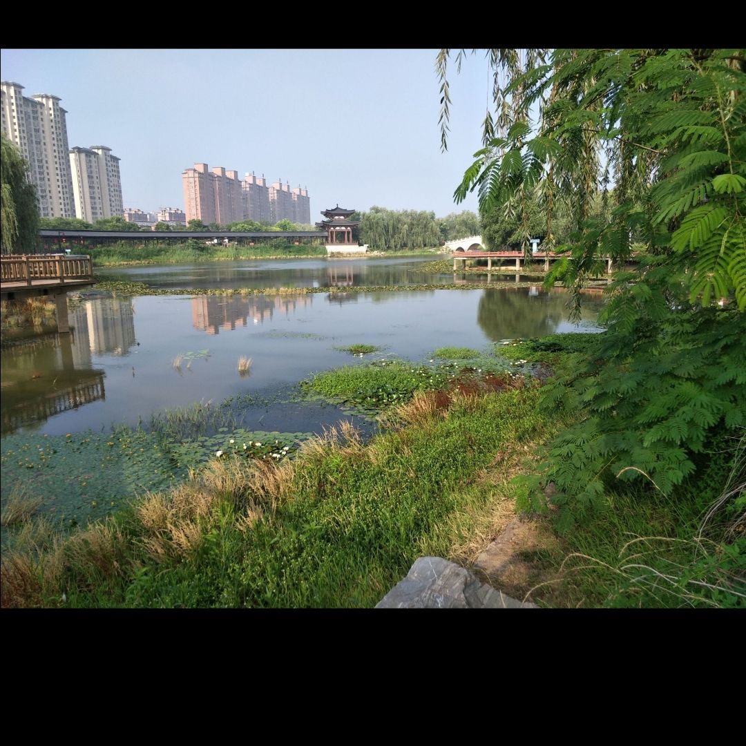清水湾公园旅行图片 1