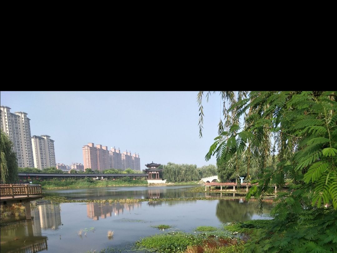 清水湾公园旅行图片 2