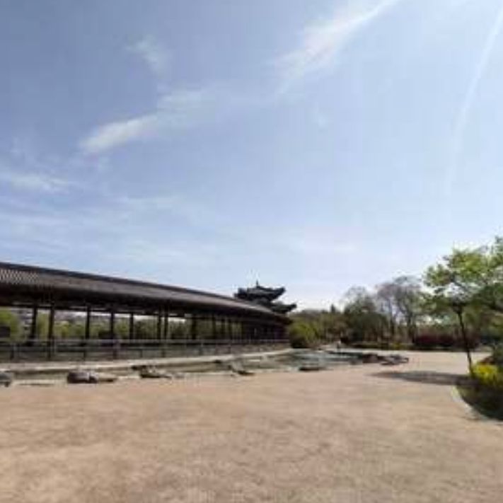 清水湾公园旅行图片 2