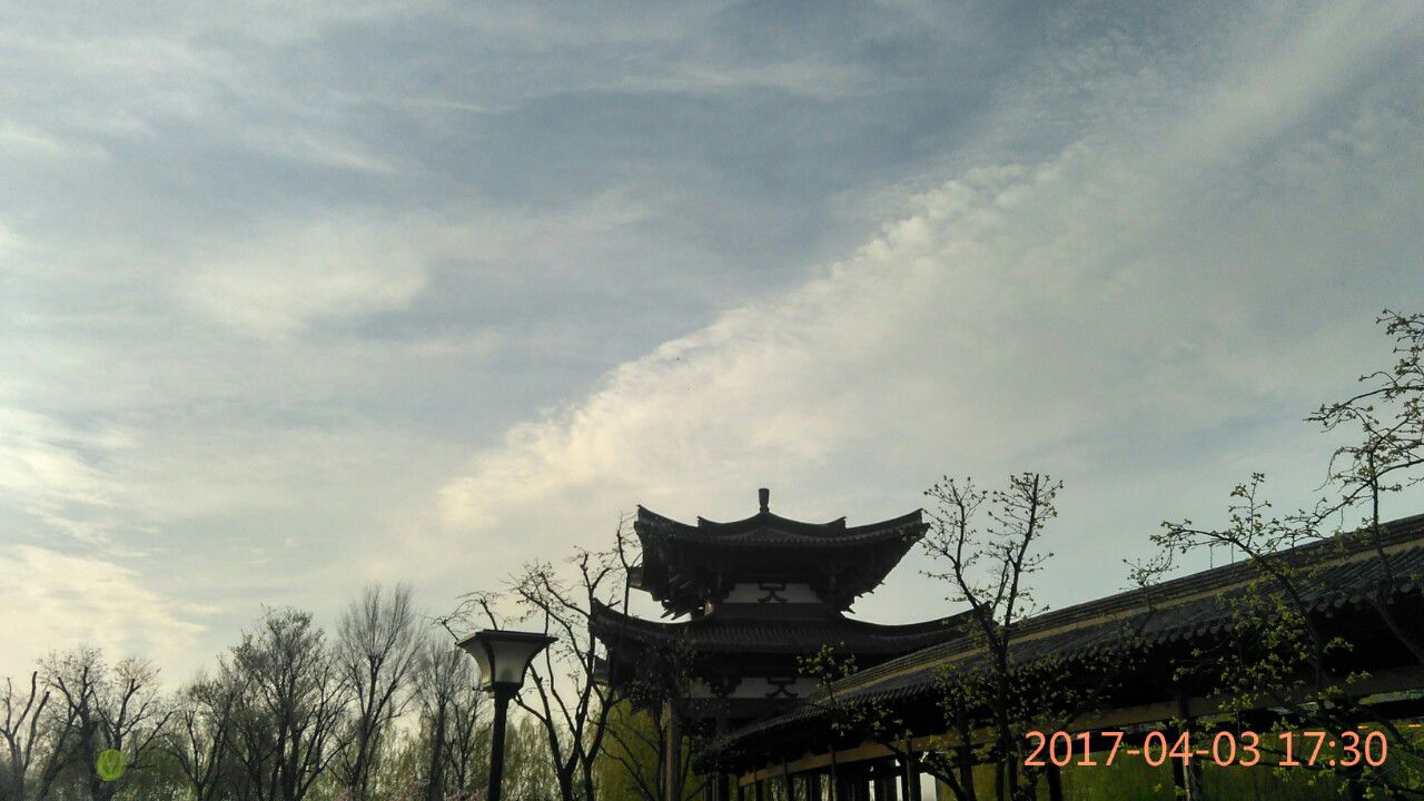 清水湾公园旅行图片 1