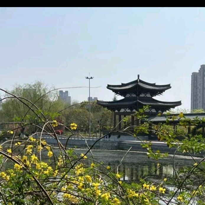 清水湾公园旅行图片 3
