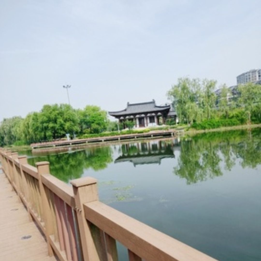 清水湾公园旅行图片 1