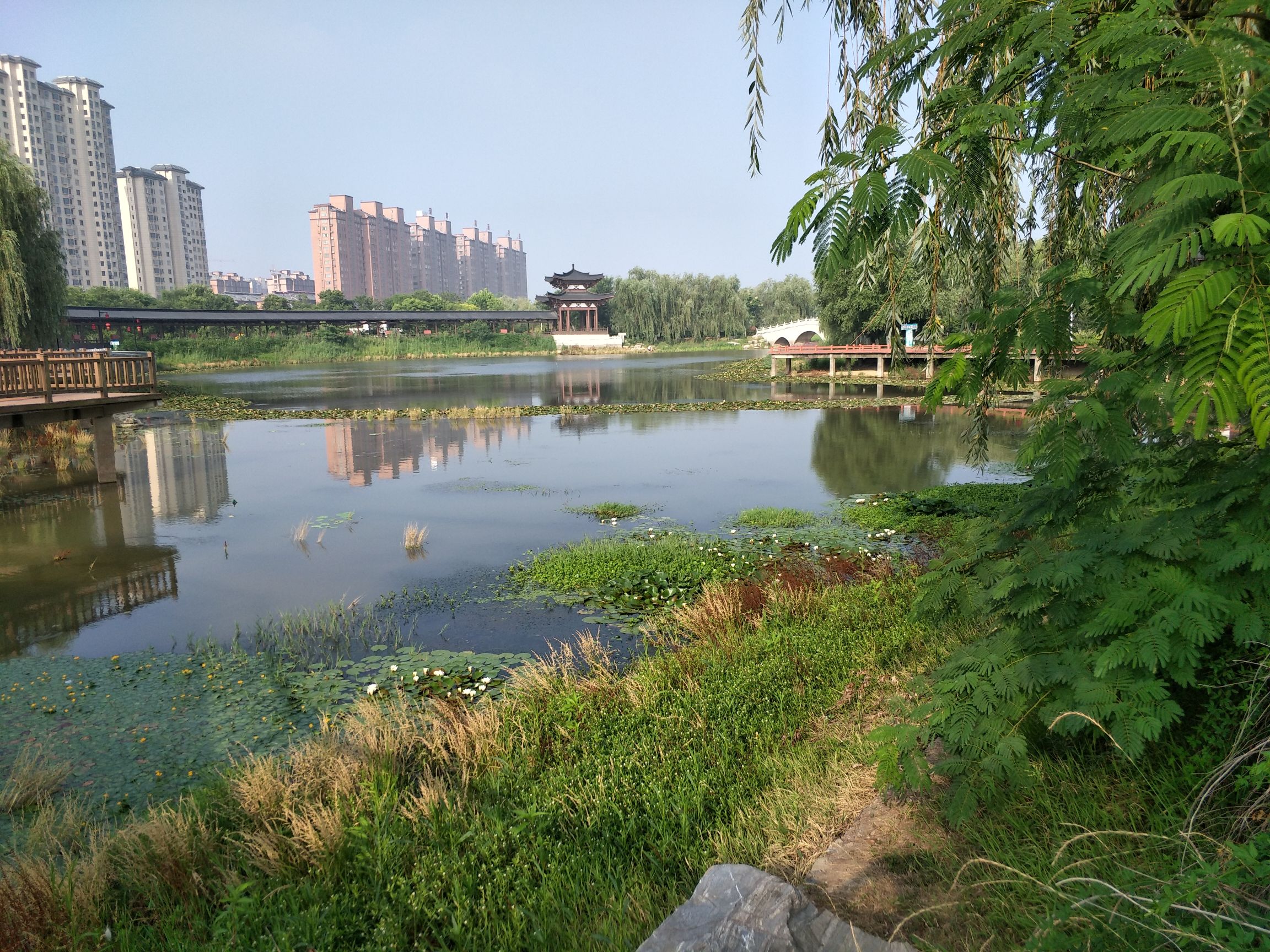 清水湾公园旅行图片 3