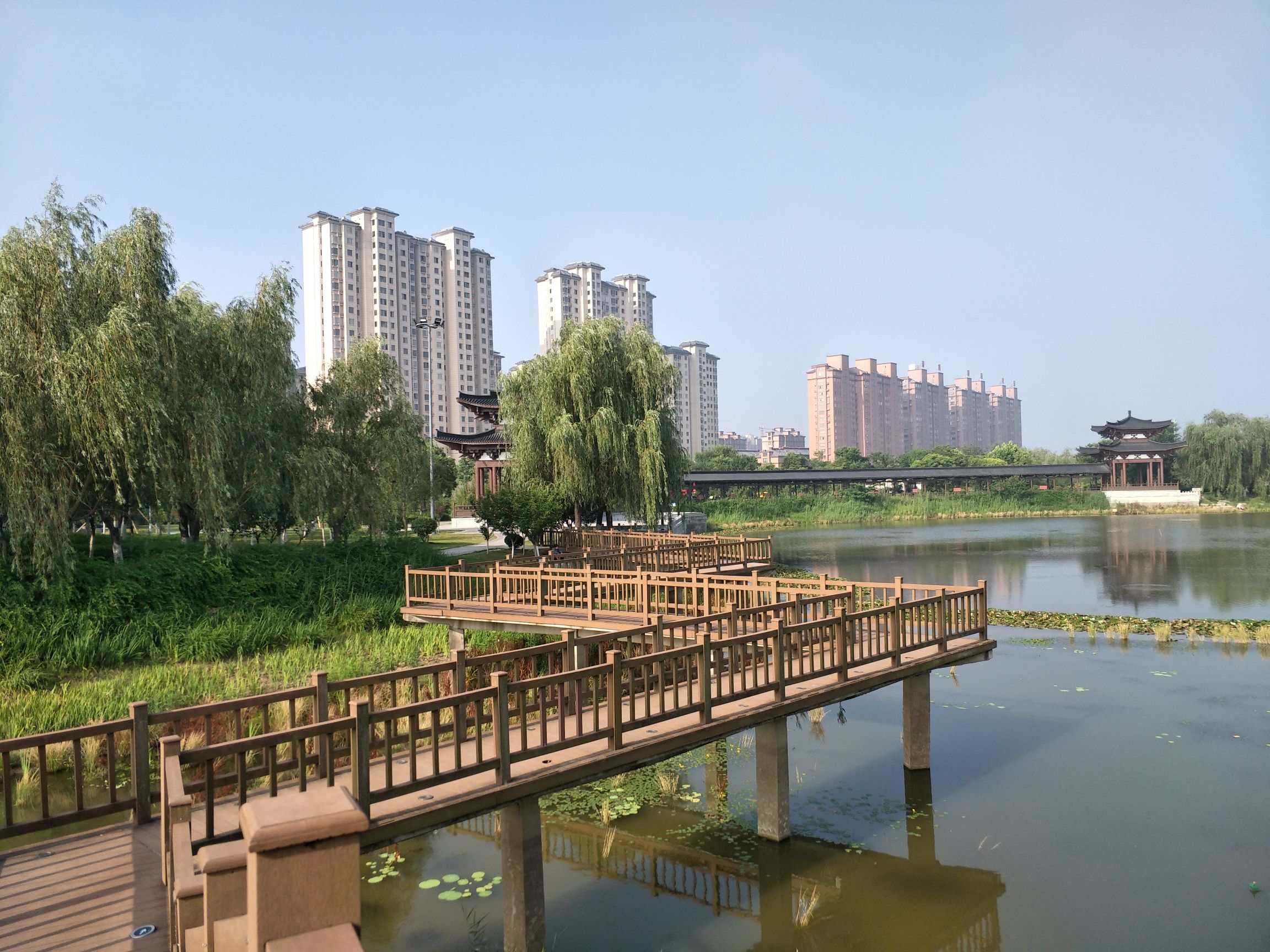 清水湾公园旅行图片 2