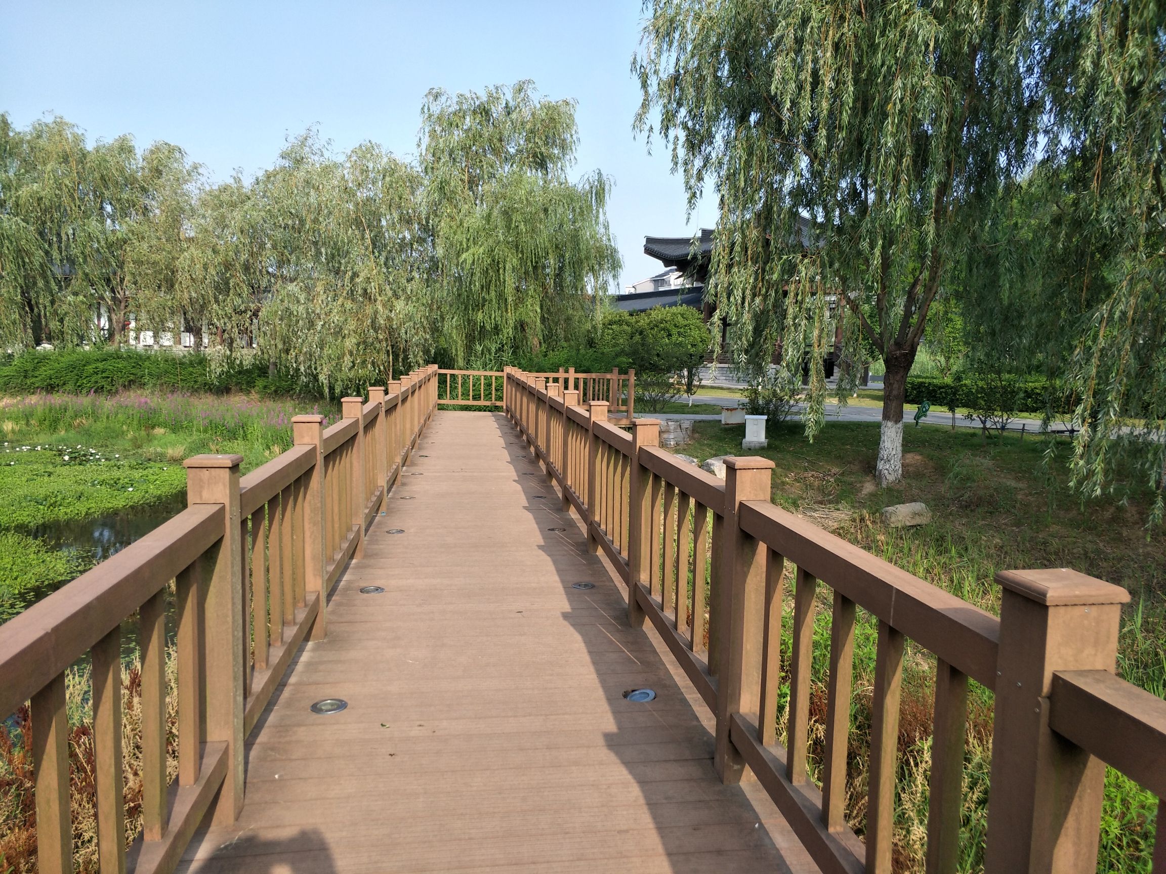 清水湾公园旅行图片 1