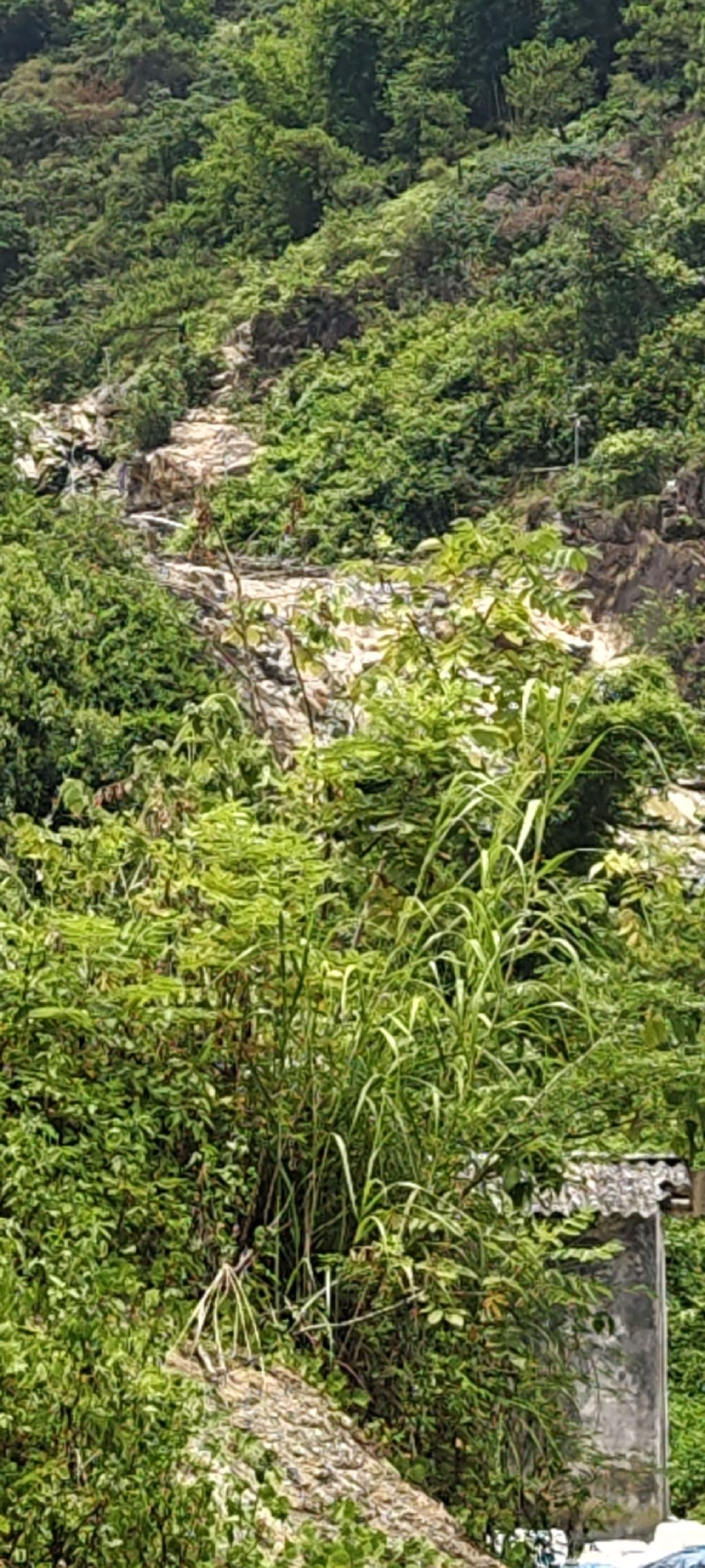 百潭谷(不对外开放)旅行图片 2