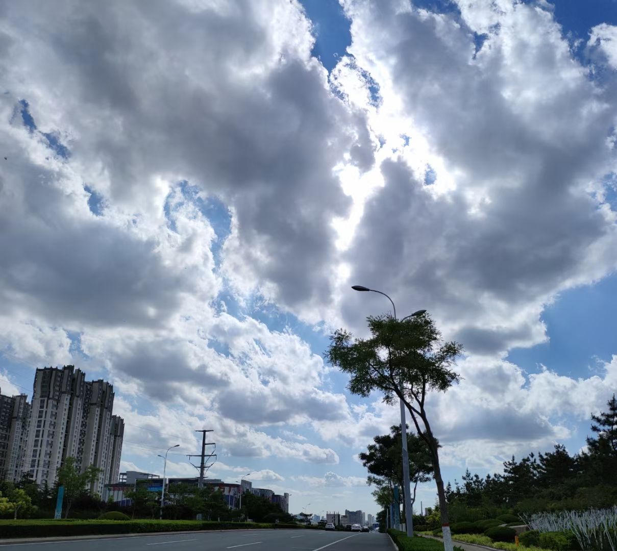 盟旺山公园旅行图片 1