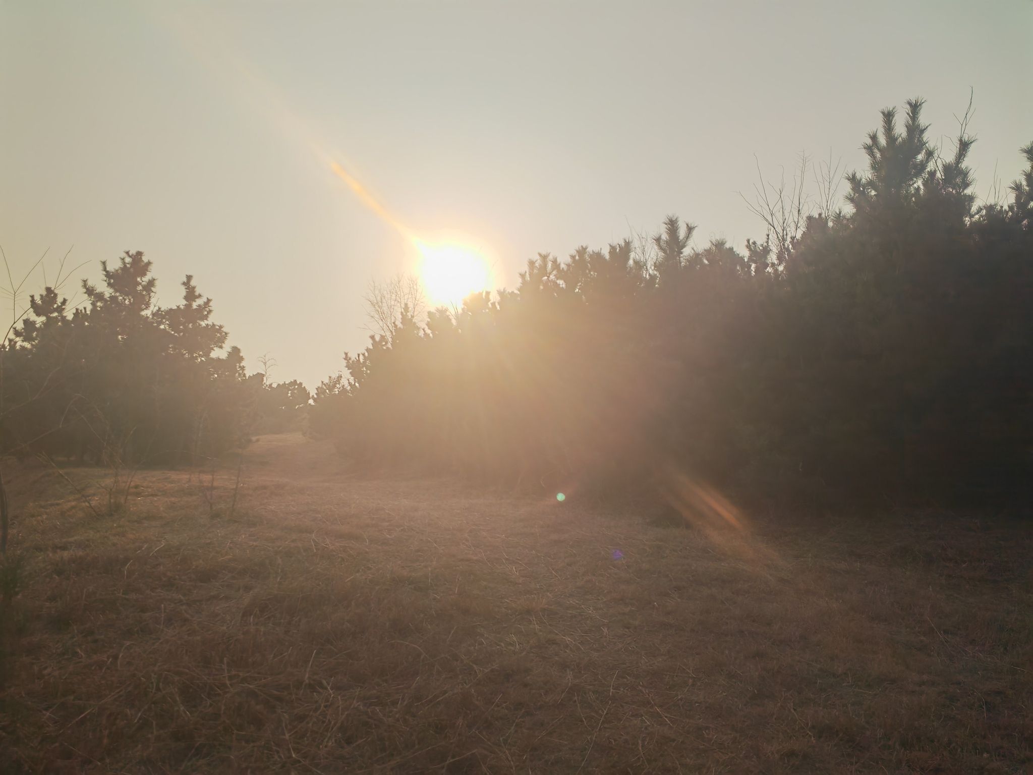 盟旺山公园旅行图片 3