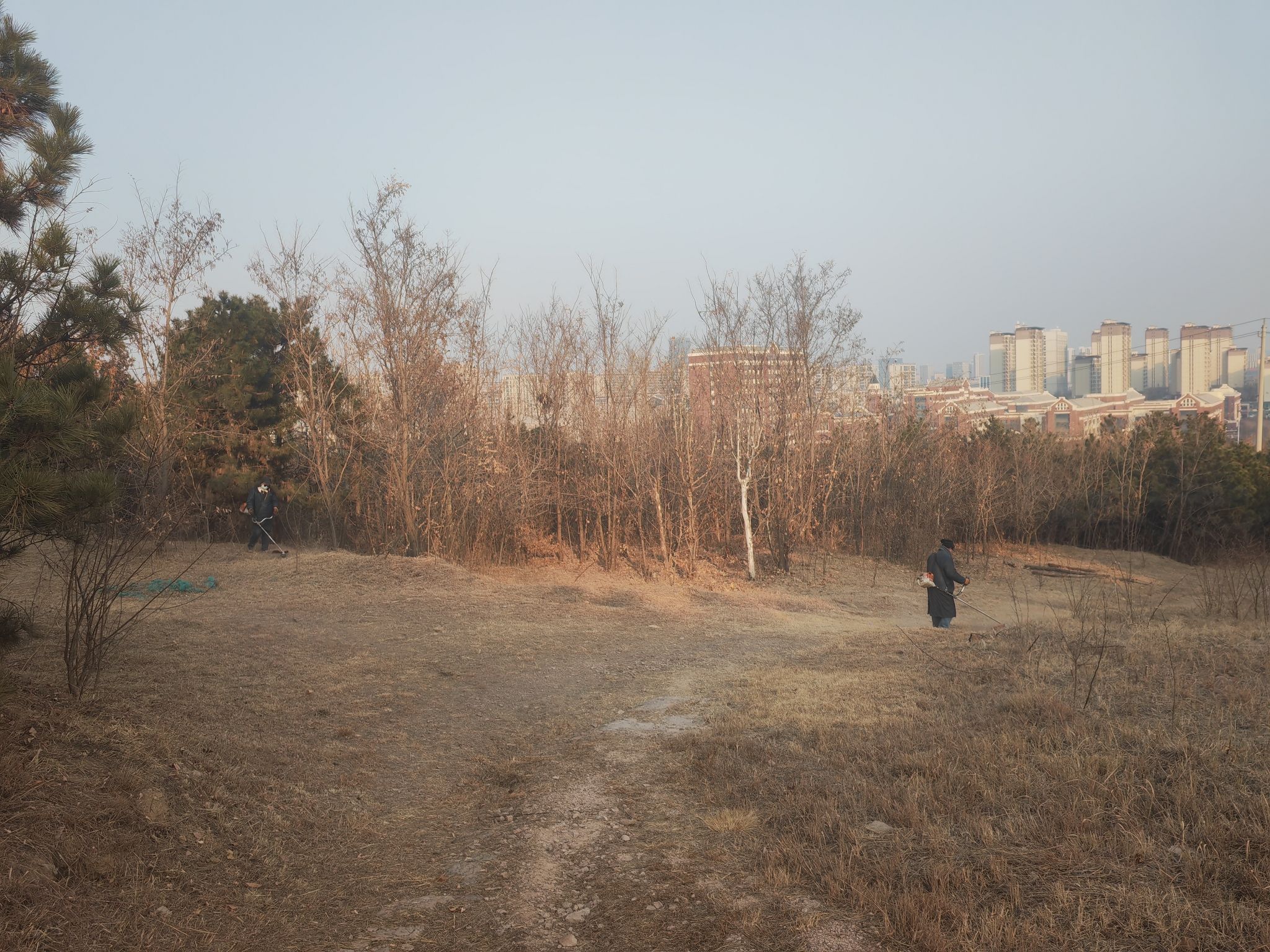 盟旺山公园旅行图片 2