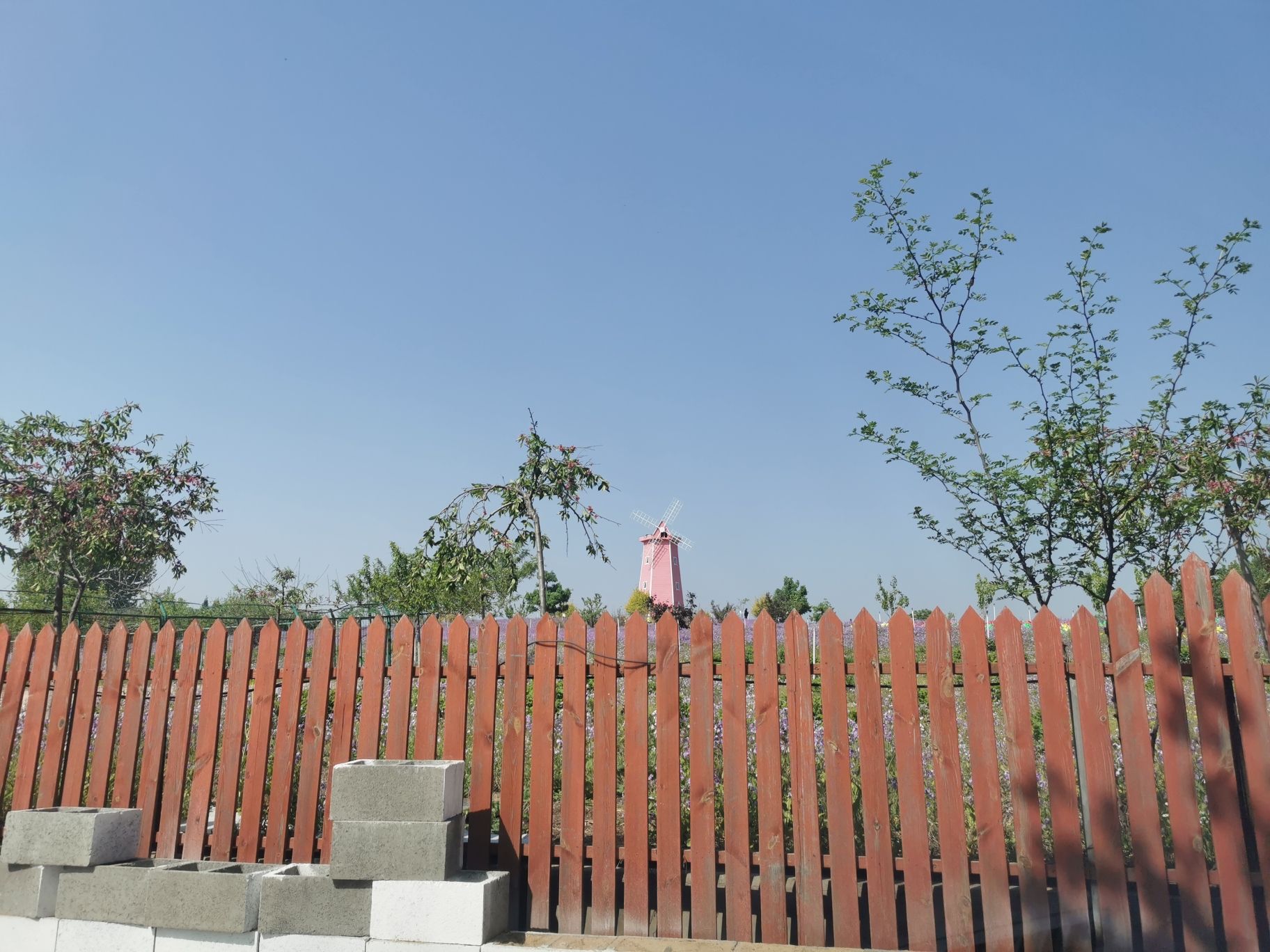 迁安亚滦湾农业公园旅行图片 1
