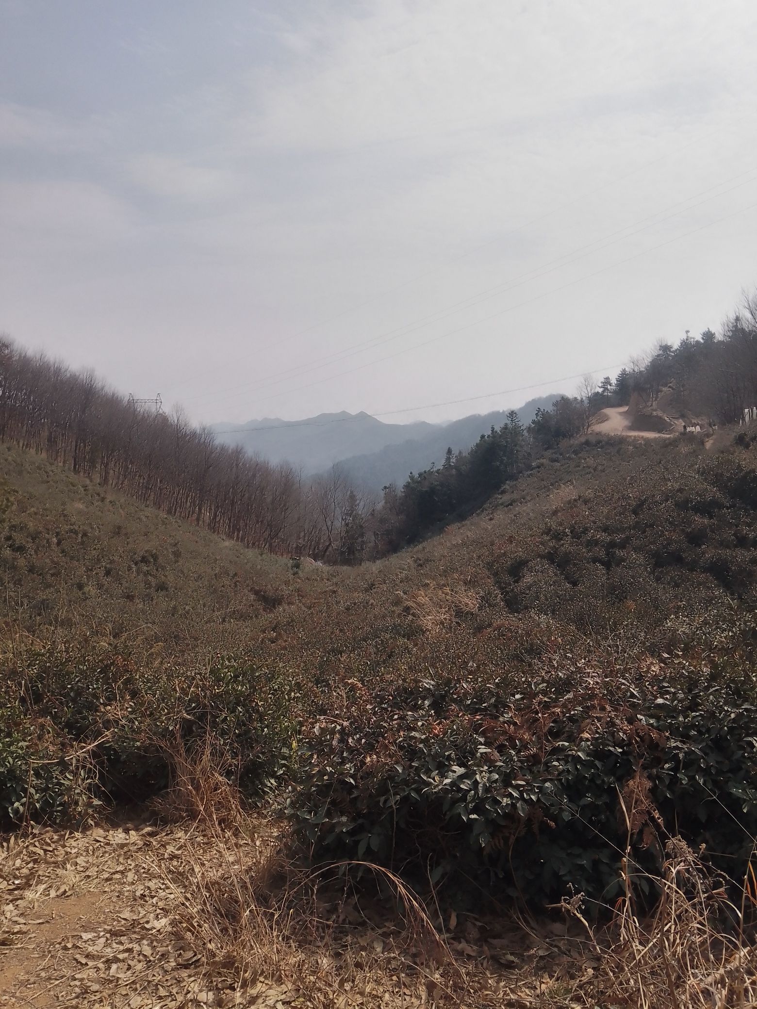 震雷山风景区旅行图片 2