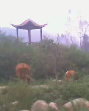 红河谷景区旅行图片 2