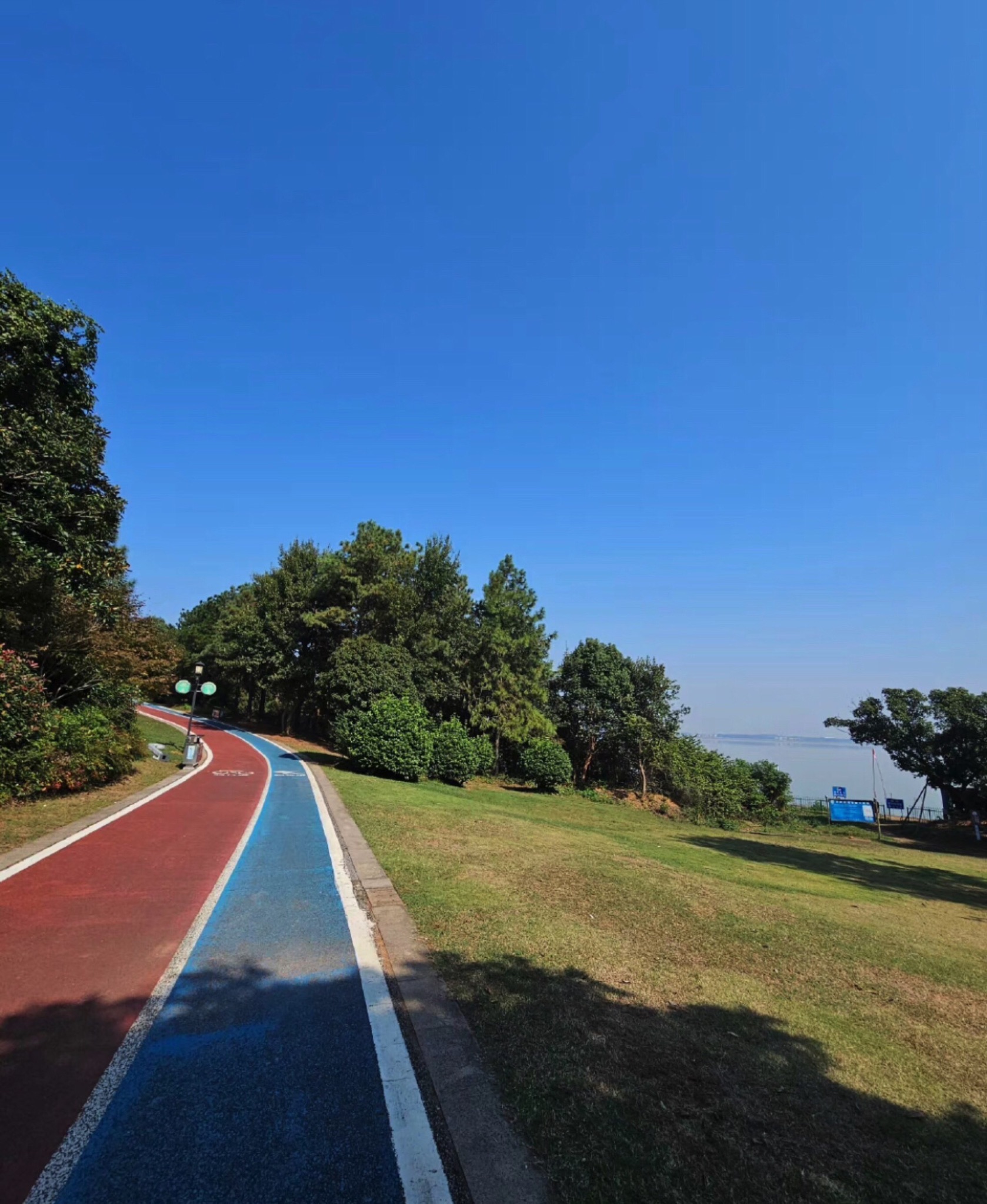 青岚湖森林公园旅行图片 1