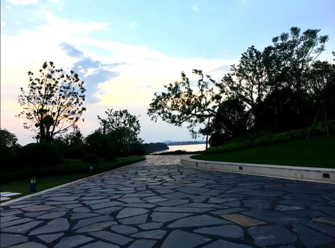 青岚湖森林公园旅行图片 2