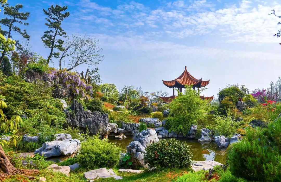 青岚湖森林公园旅行图片 3