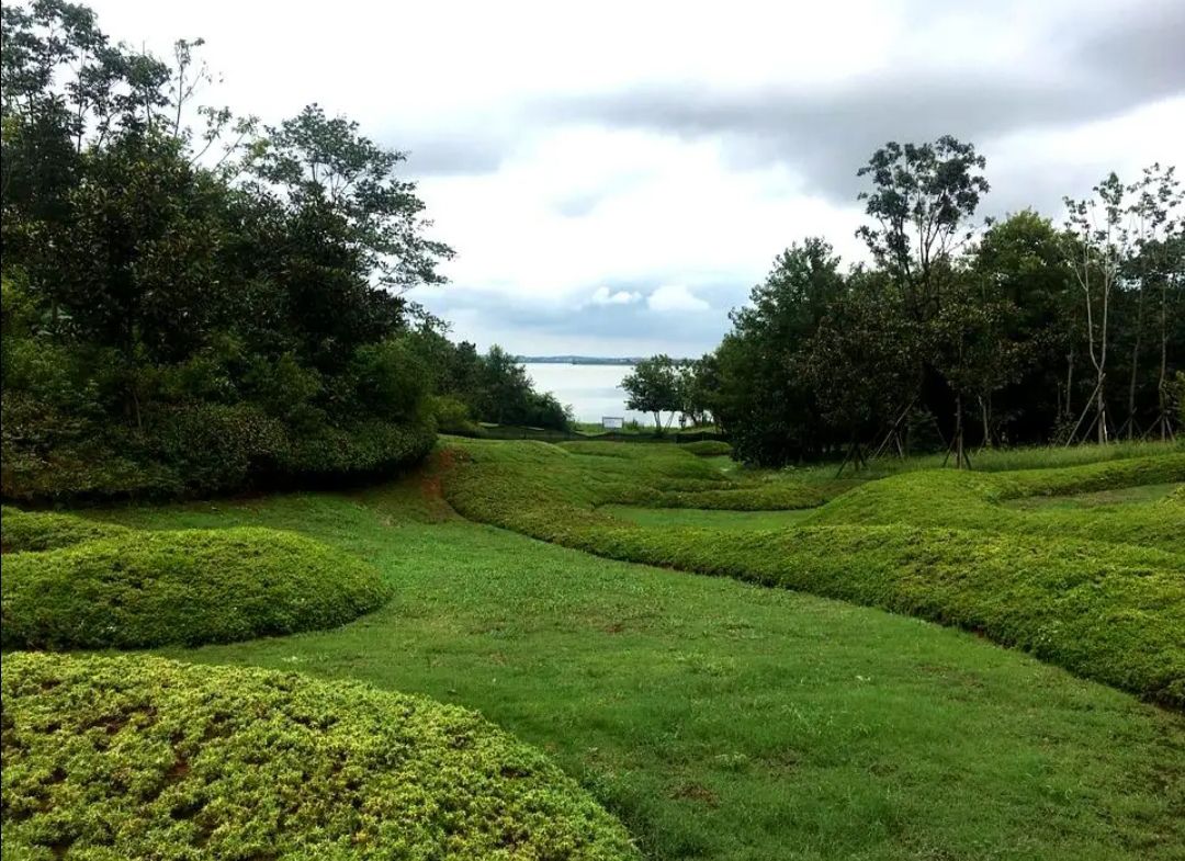 青岚湖森林公园旅行图片 1