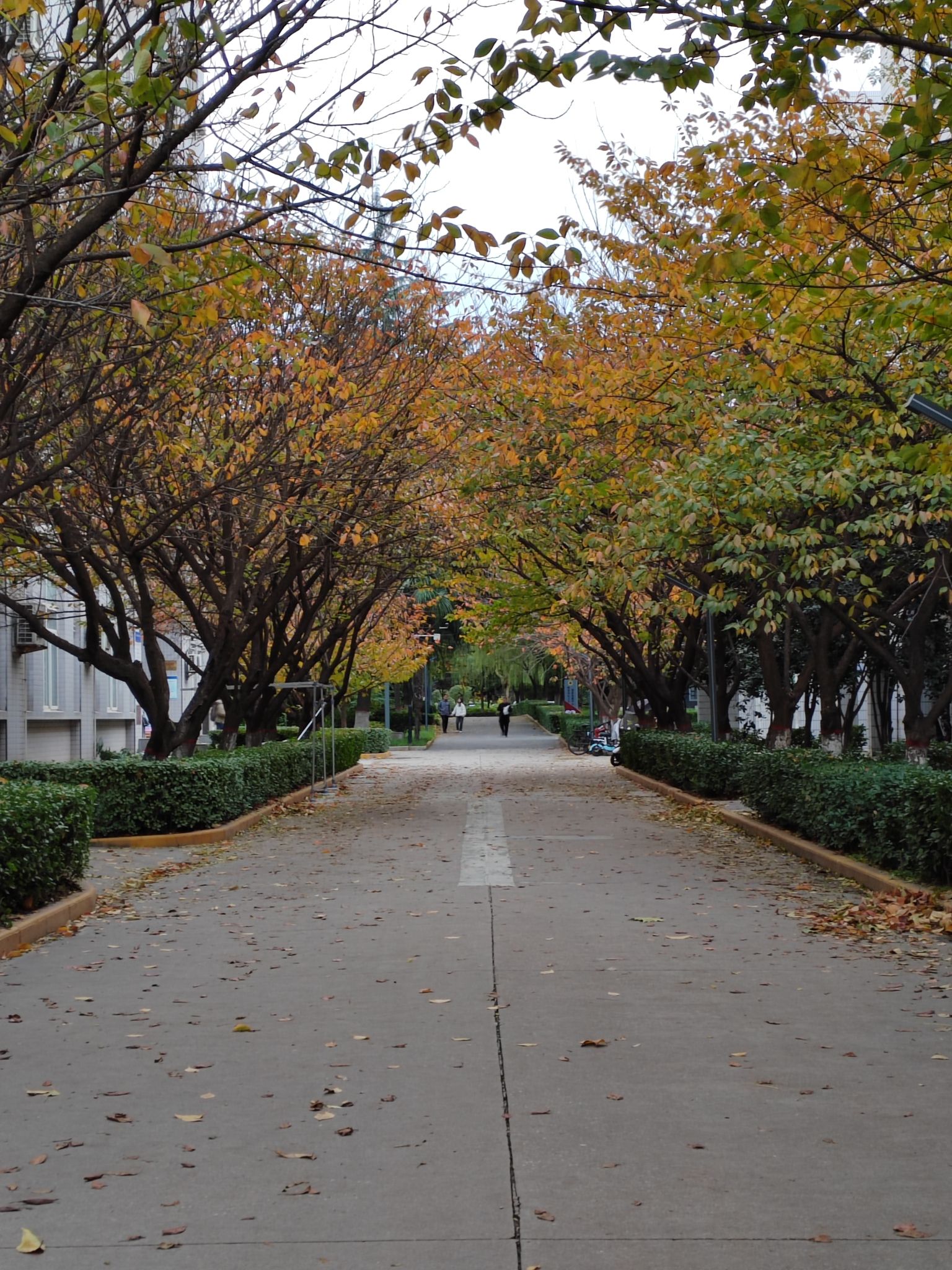西安交通大学雁塔校区