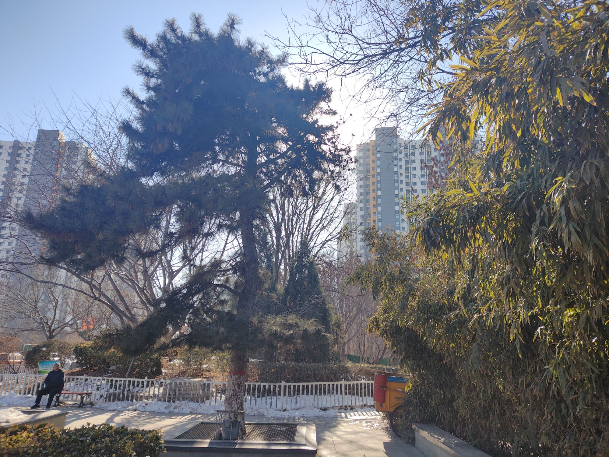 保定市府河公园旅行图片 3