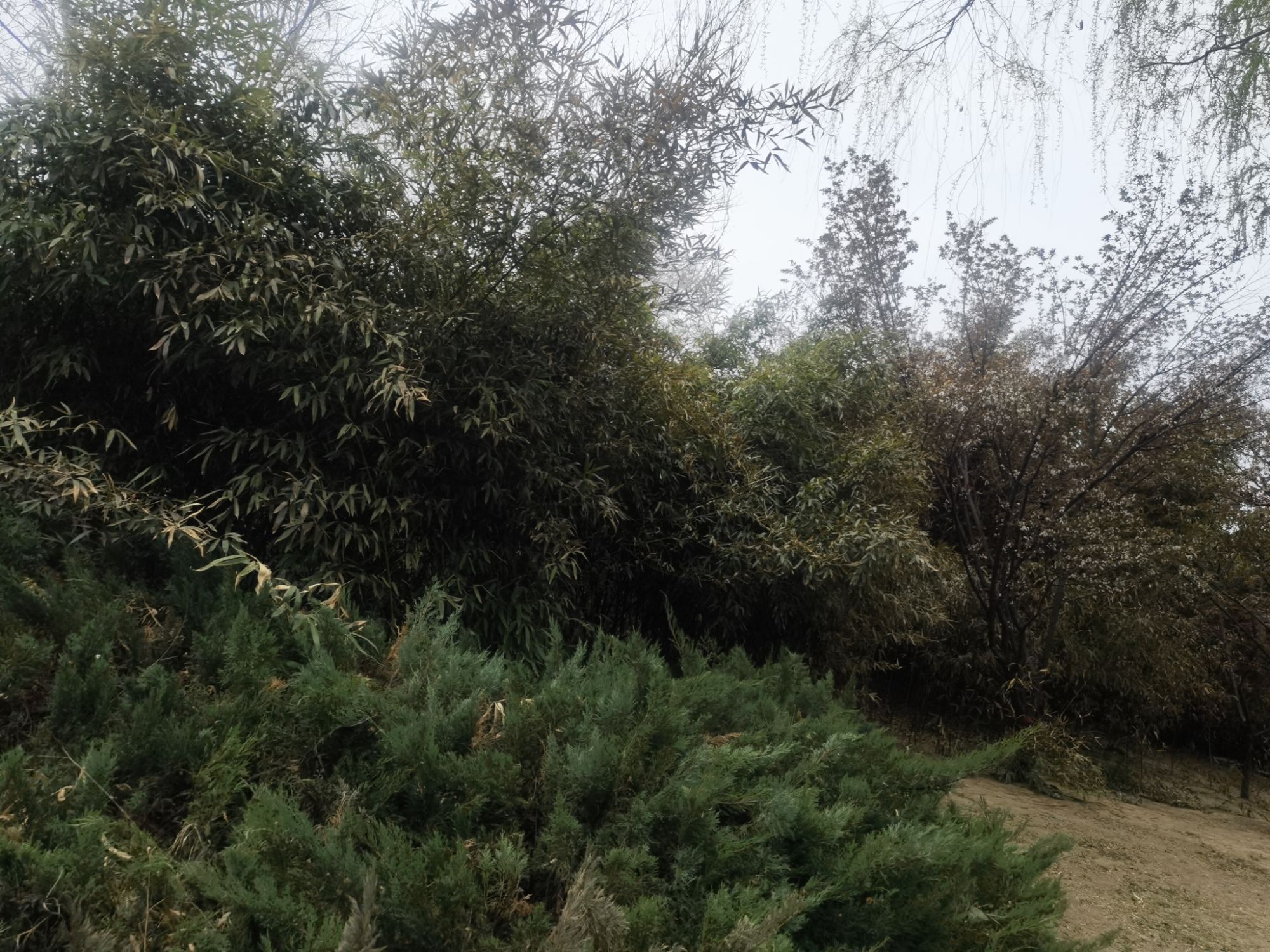 保定市府河公园旅行图片 3