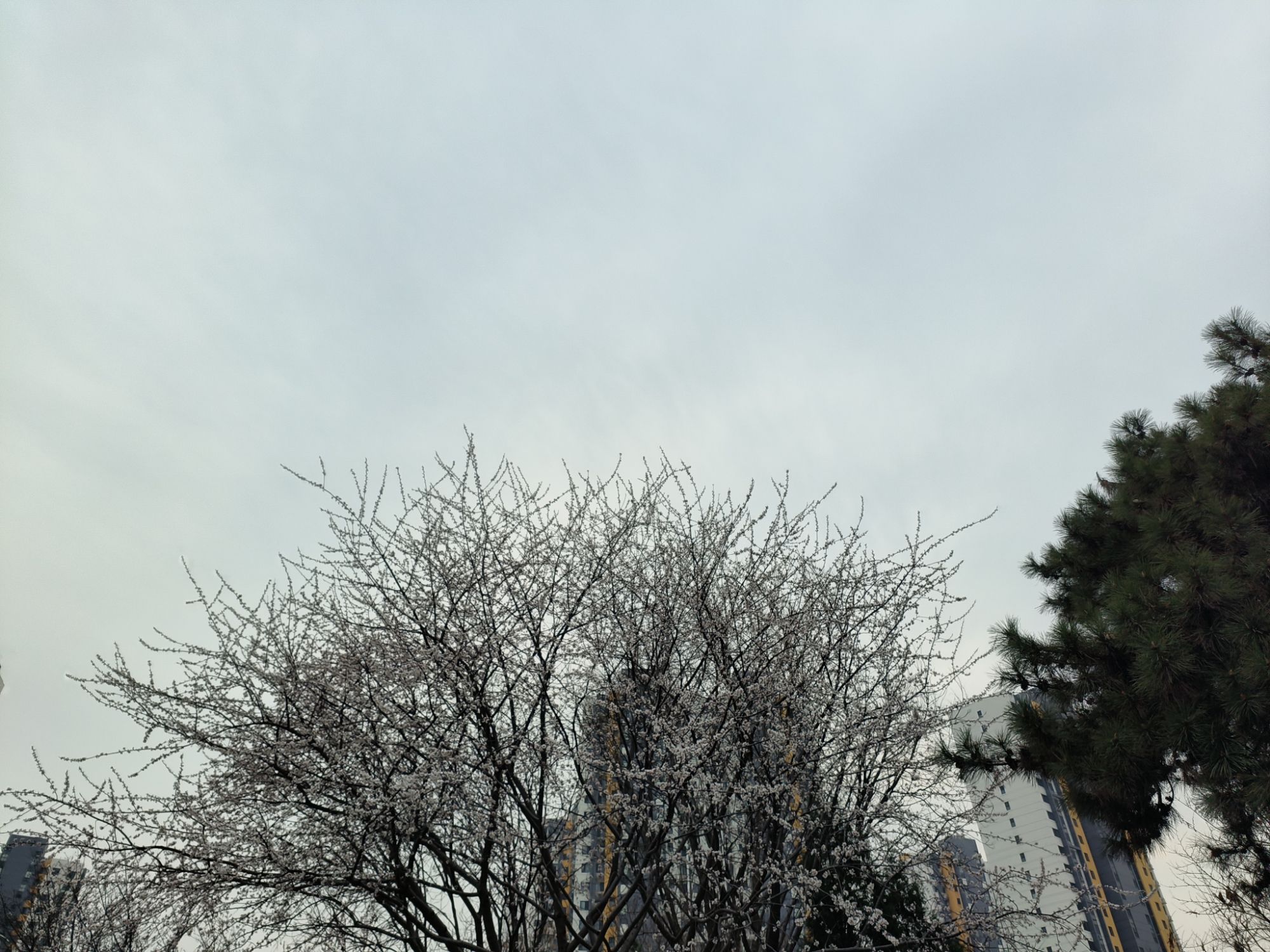 保定市府河公园旅行图片 3