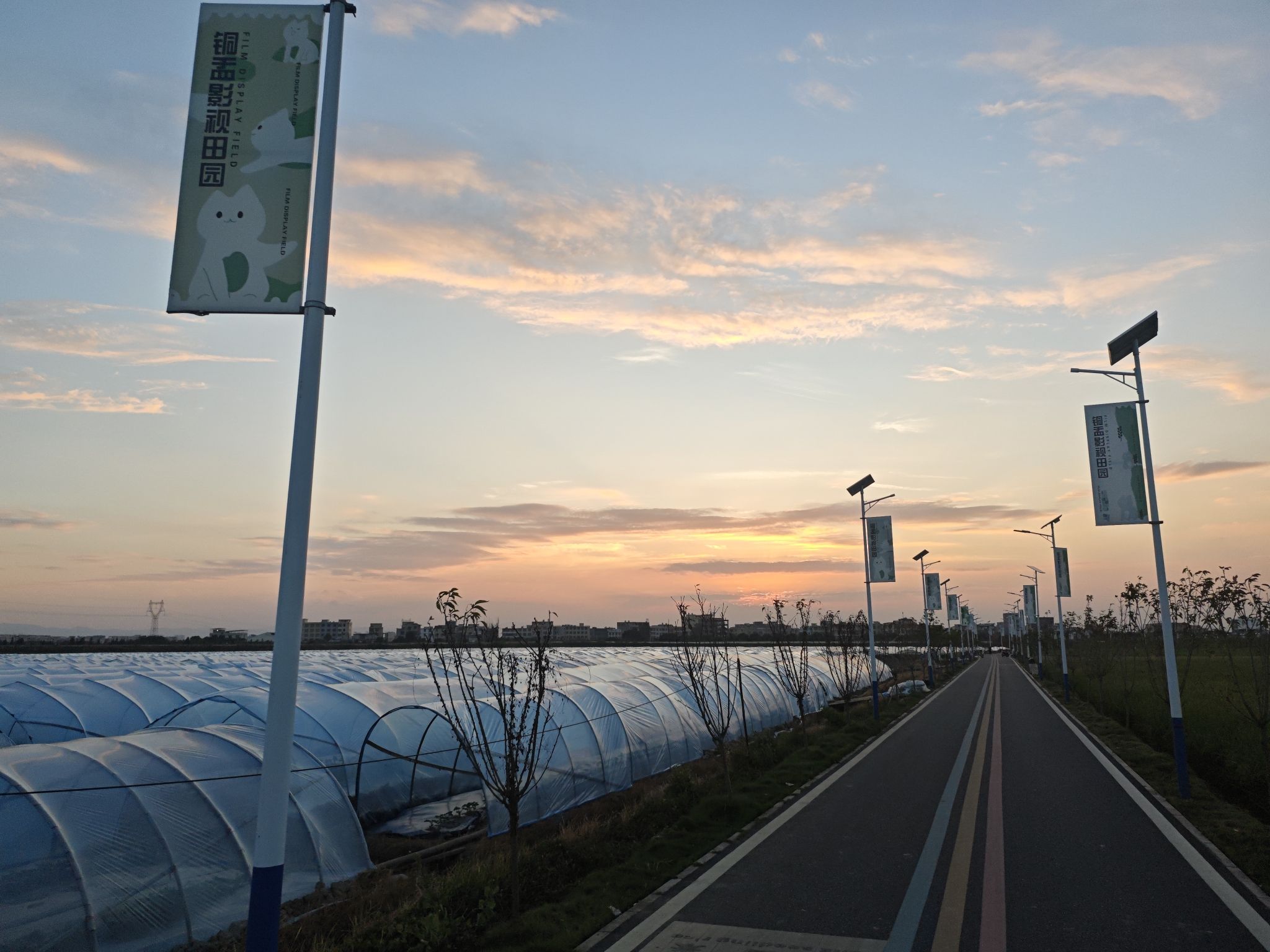 南里文化公园旅行图片 2