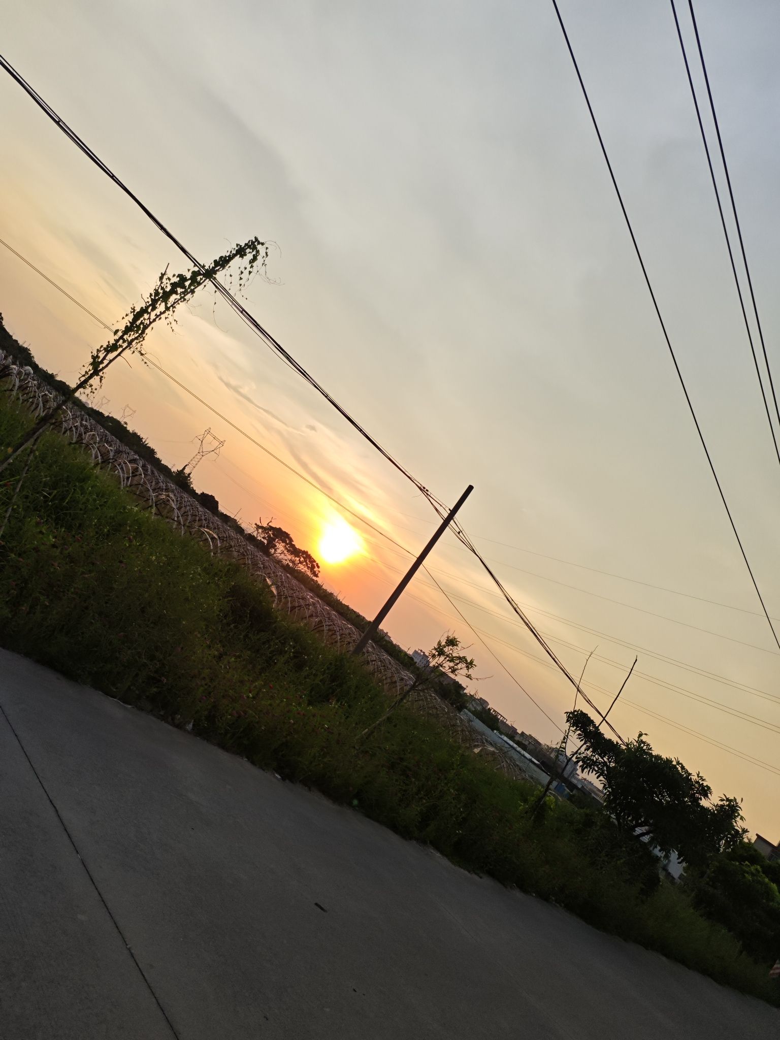 南里文化公园旅行图片 1