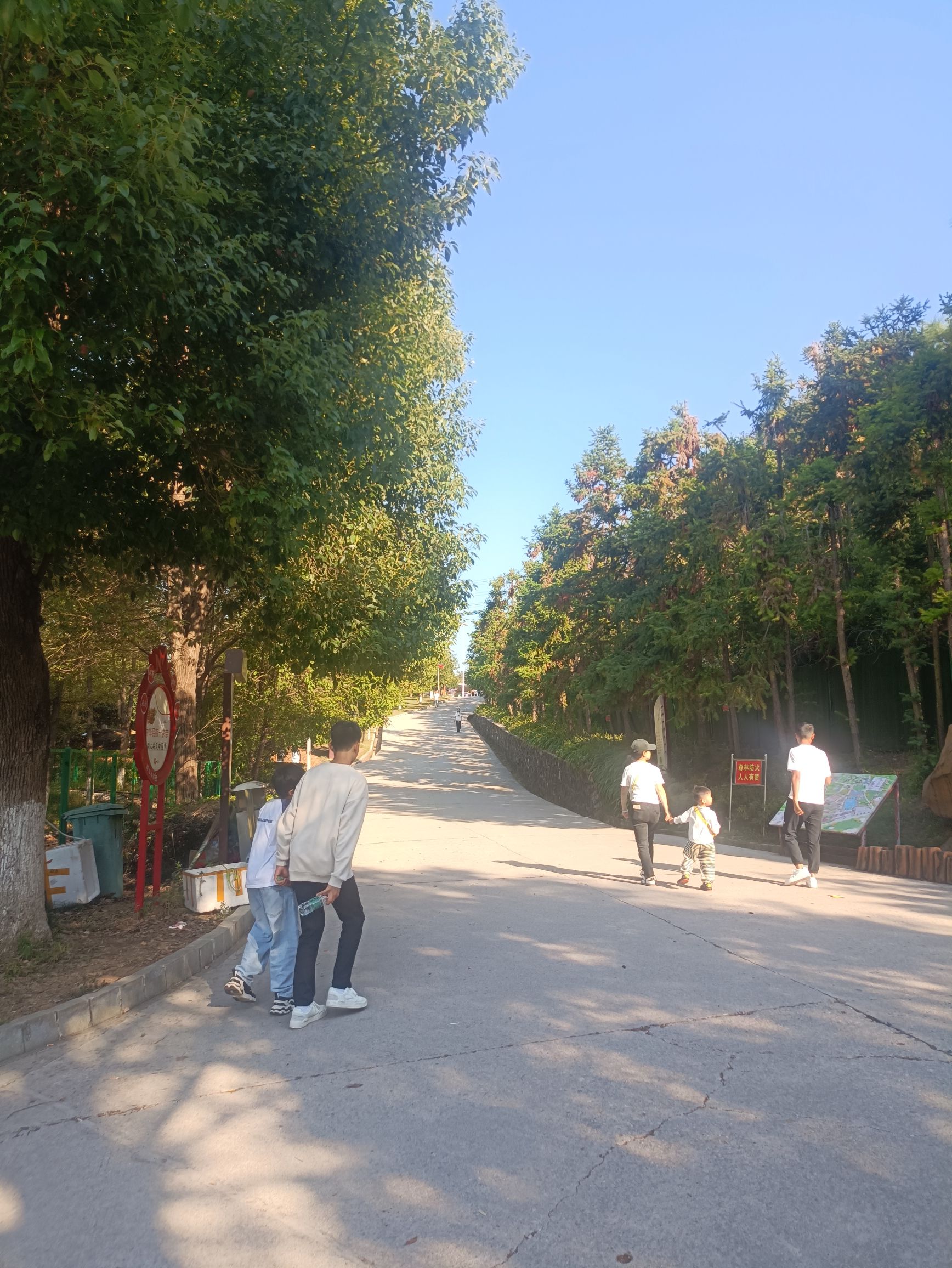 怡卉奇幻世界旅行图片 2