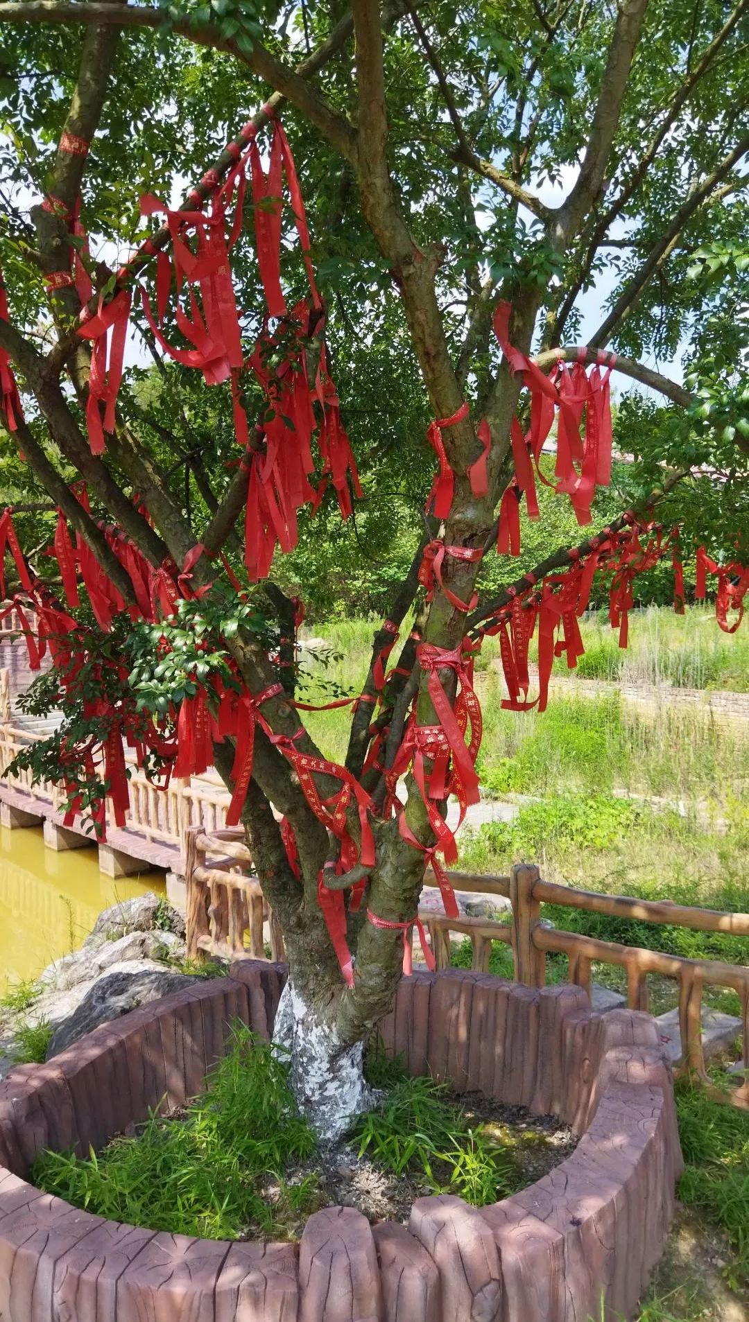 怡卉奇幻世界旅行图片 2