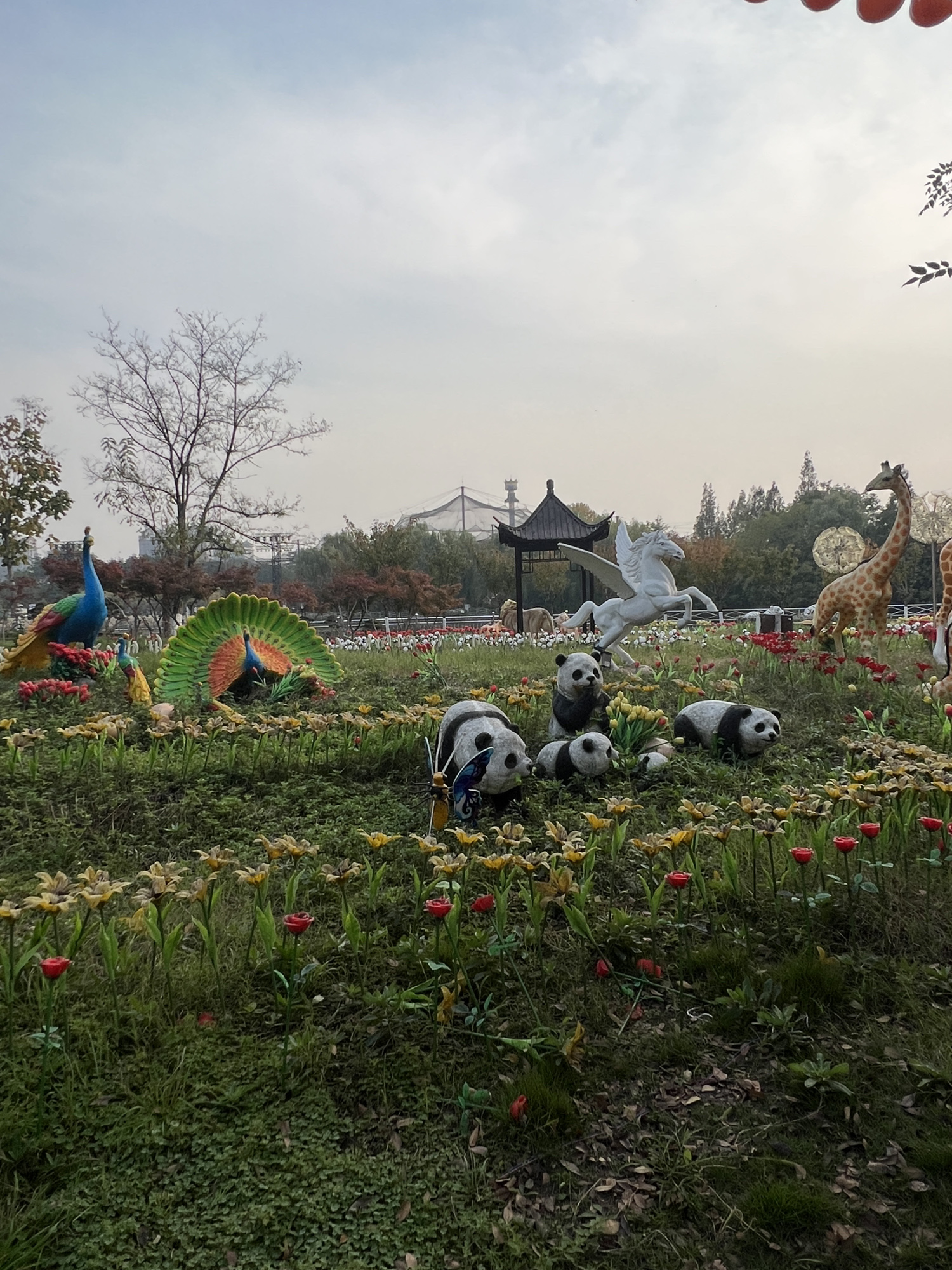 神州鸟园旅行图片 1
