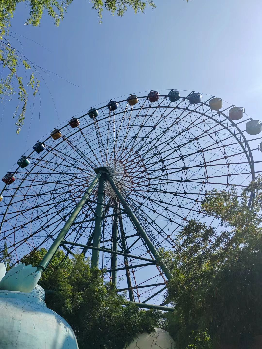 神州鸟园旅行图片 3