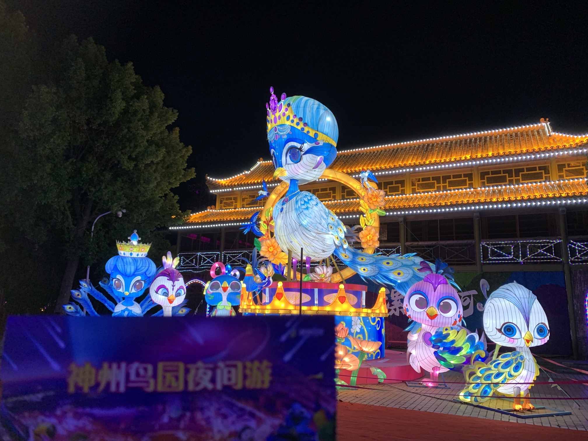 神州鸟园旅行图片 1