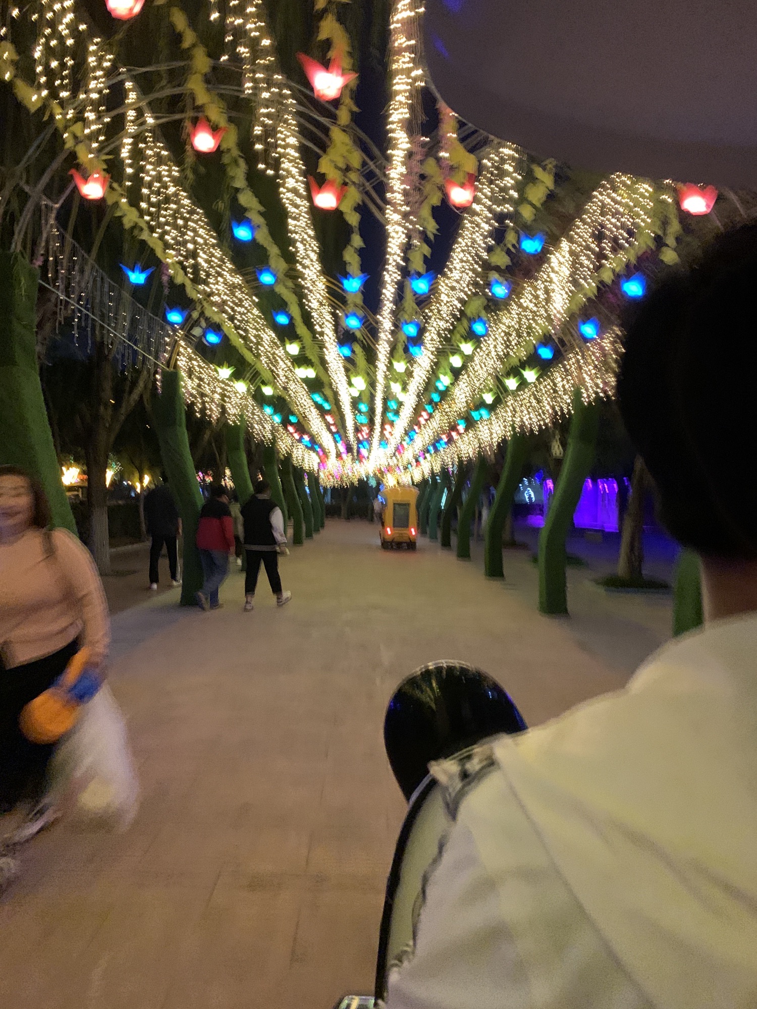 神州鸟园旅行图片 3