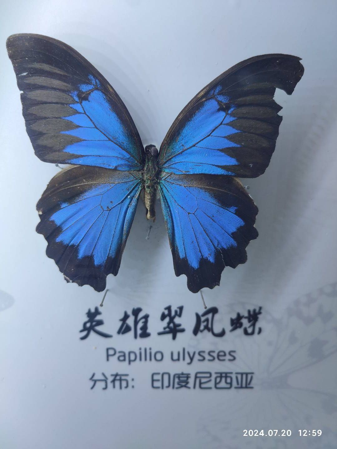 神州鸟园旅行图片 3