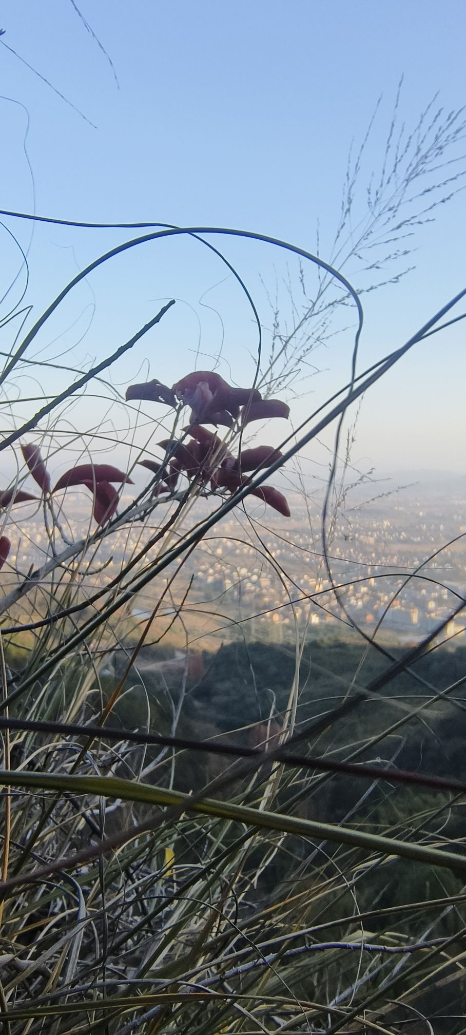 南山寺实景照片