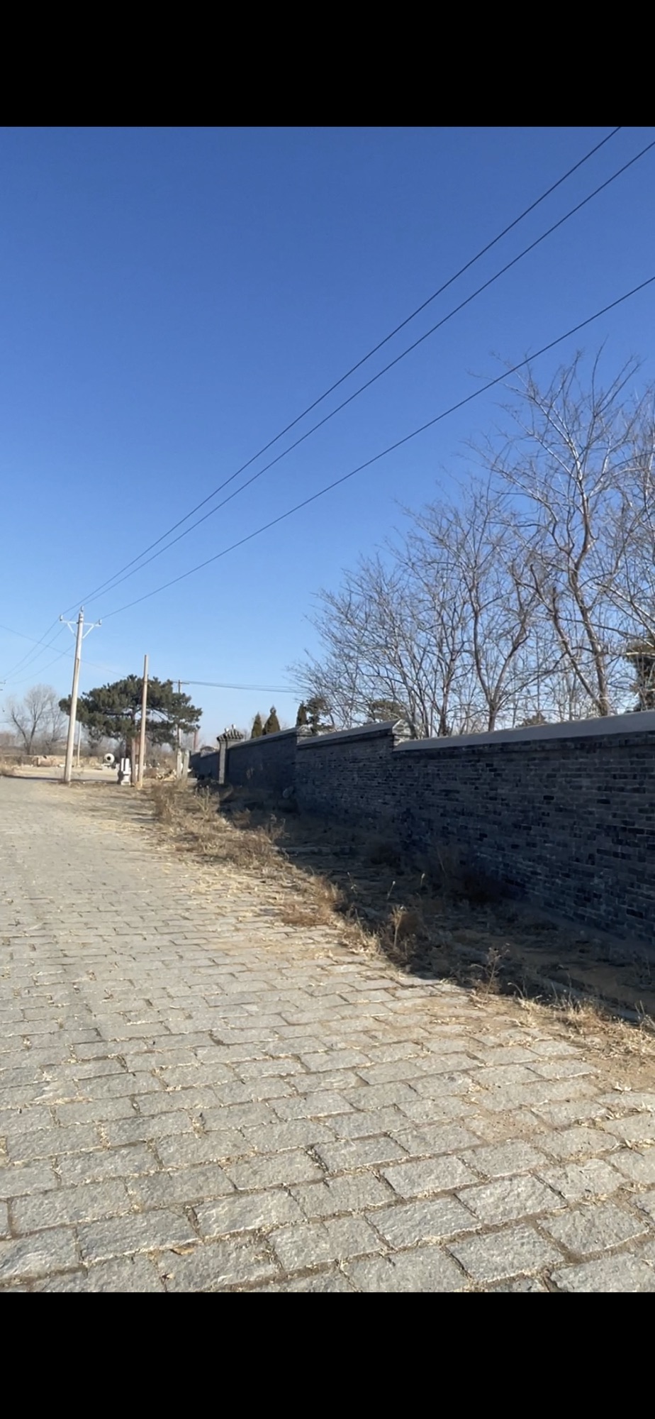 张作霖墓园旅行图片 3
