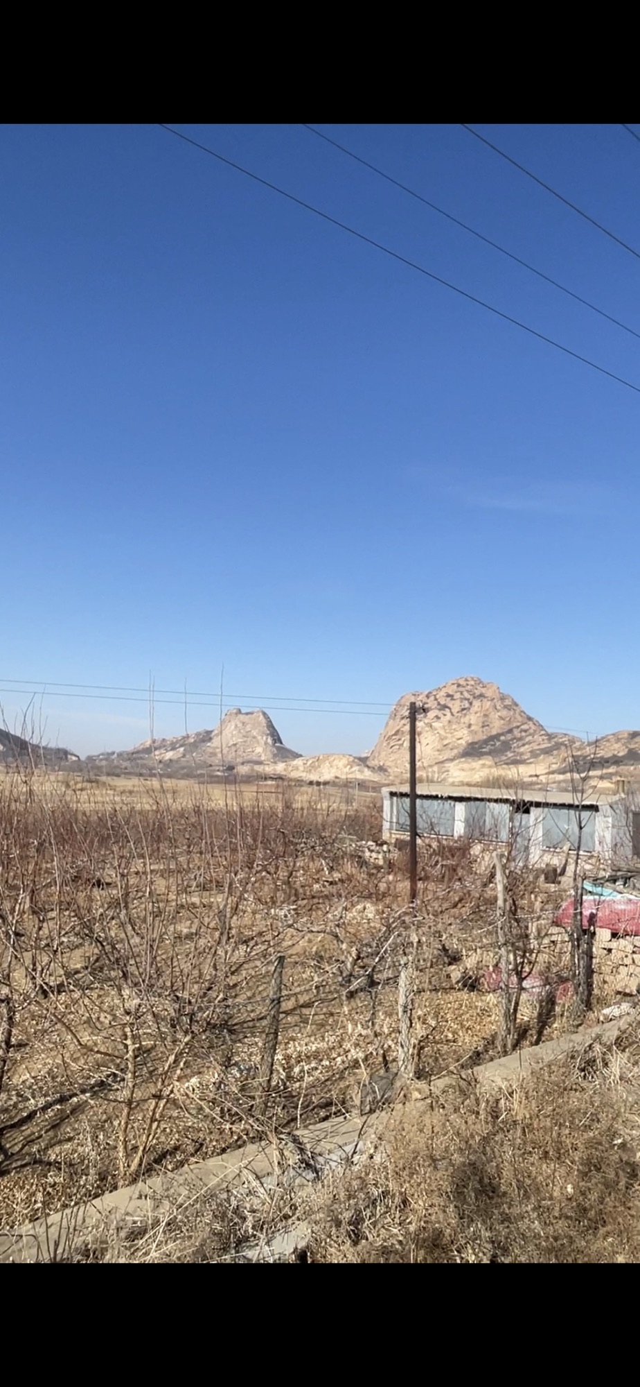 张作霖墓园旅行图片 2