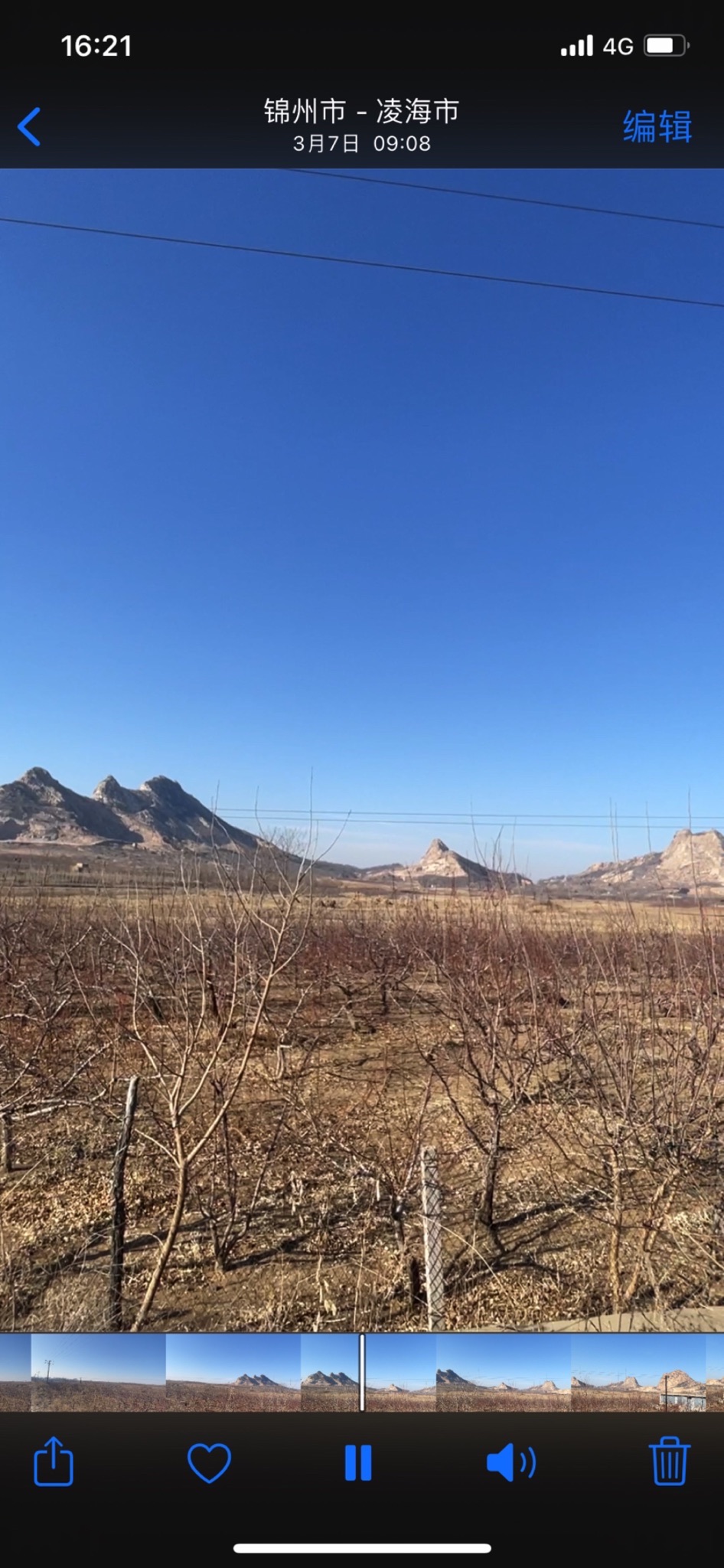 张作霖墓园旅行图片 1