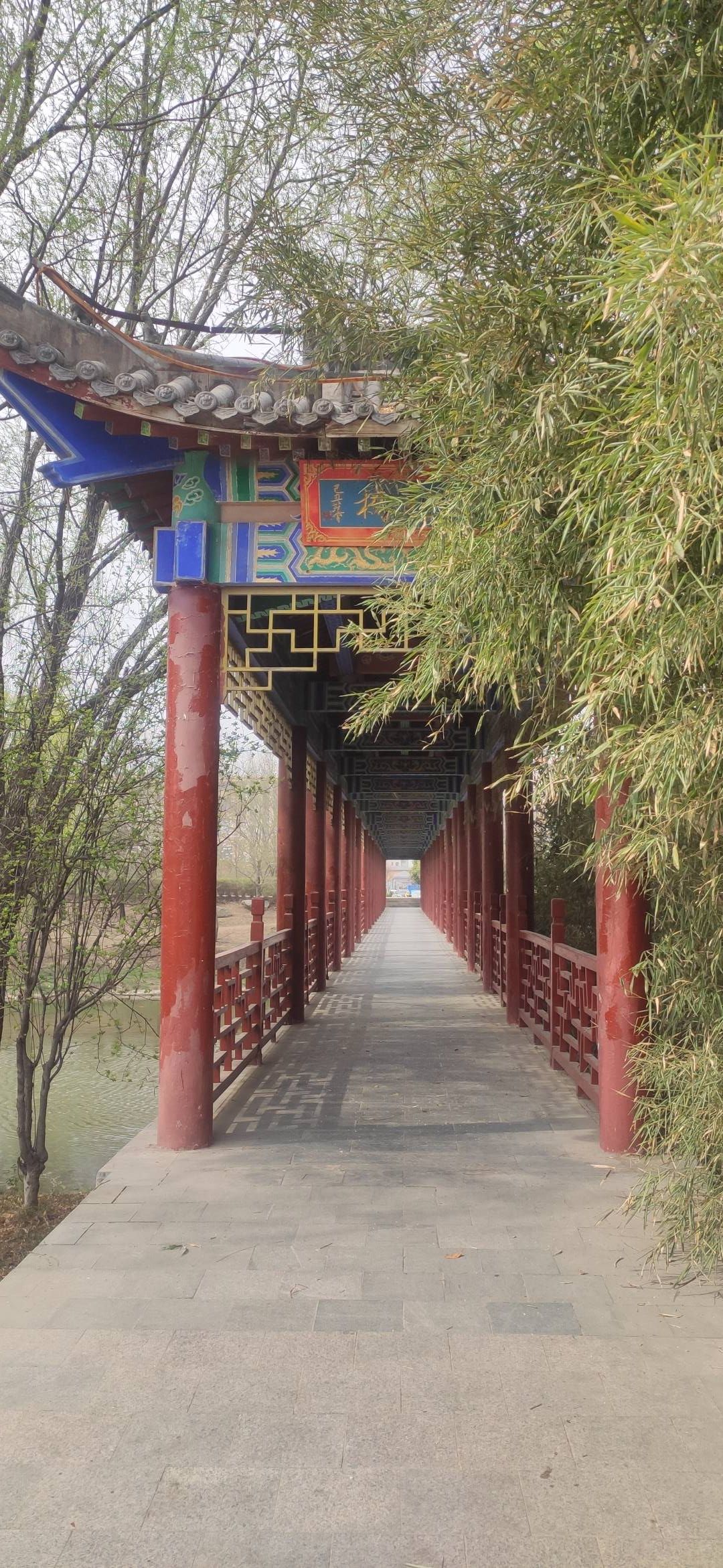 李公河湿地公园旅行图片 2