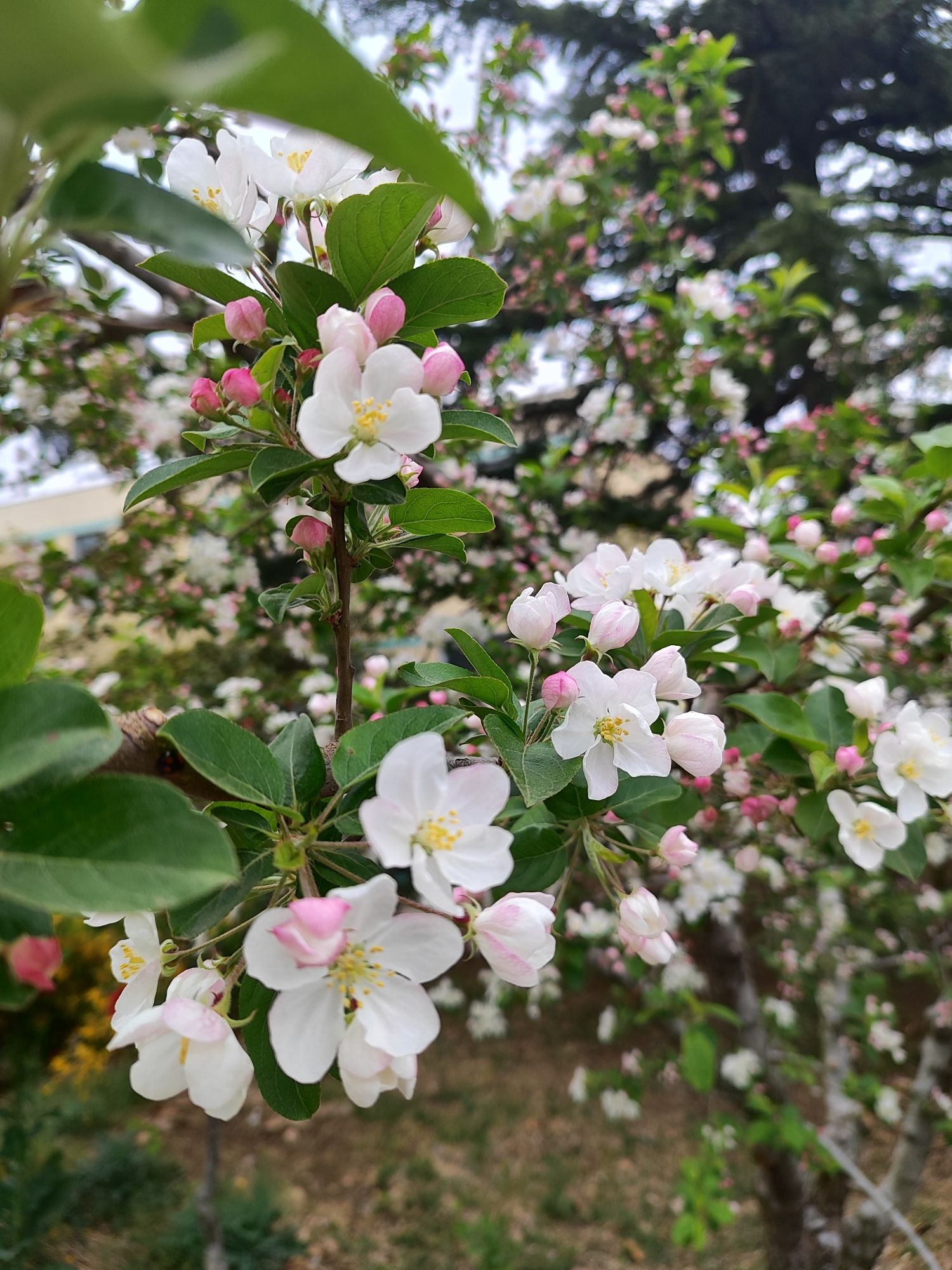 李公河湿地公园旅行图片 2