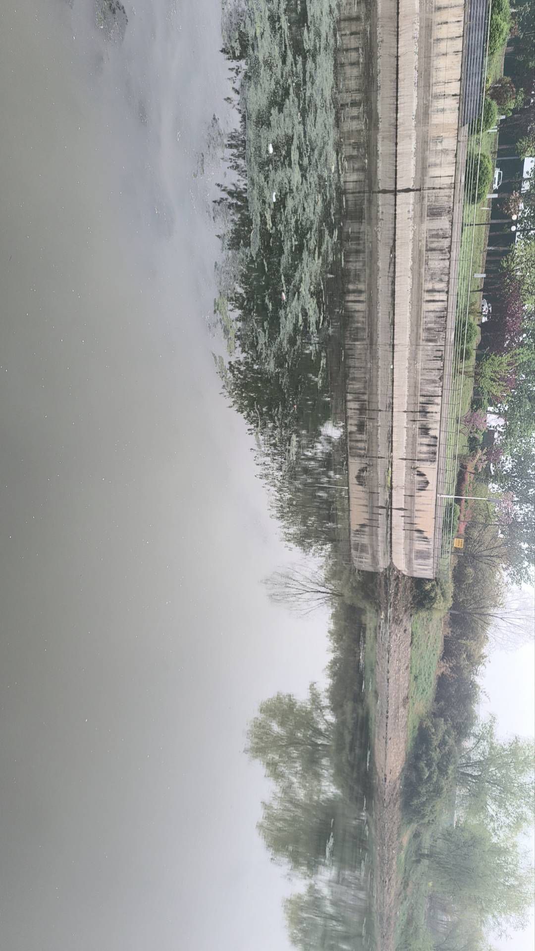 李公河湿地公园旅行图片 2