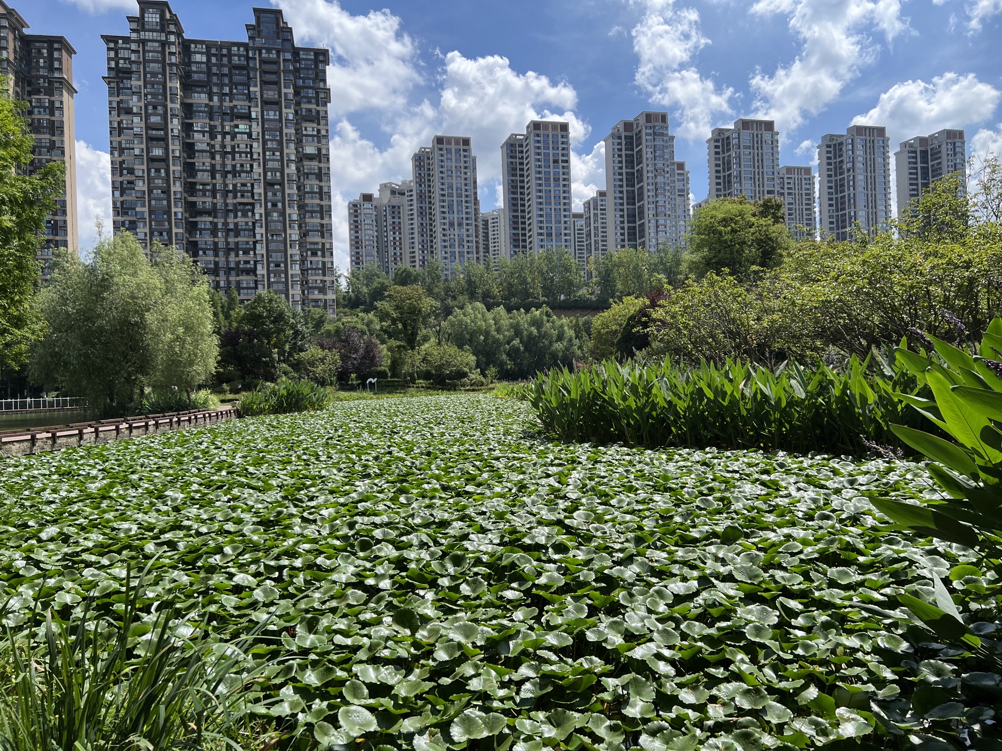阅山湖公园旅行图片 3