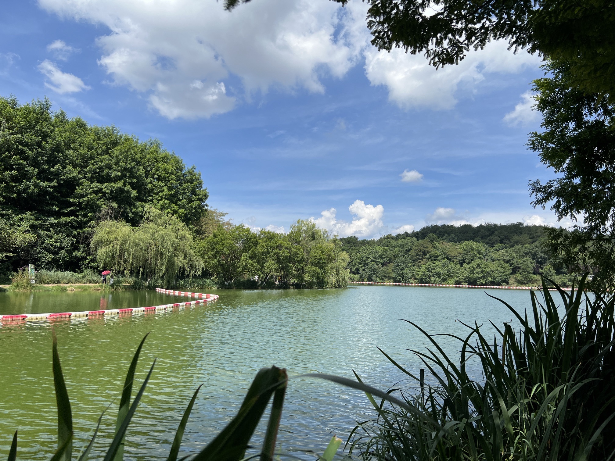 阅山湖公园旅行图片 2